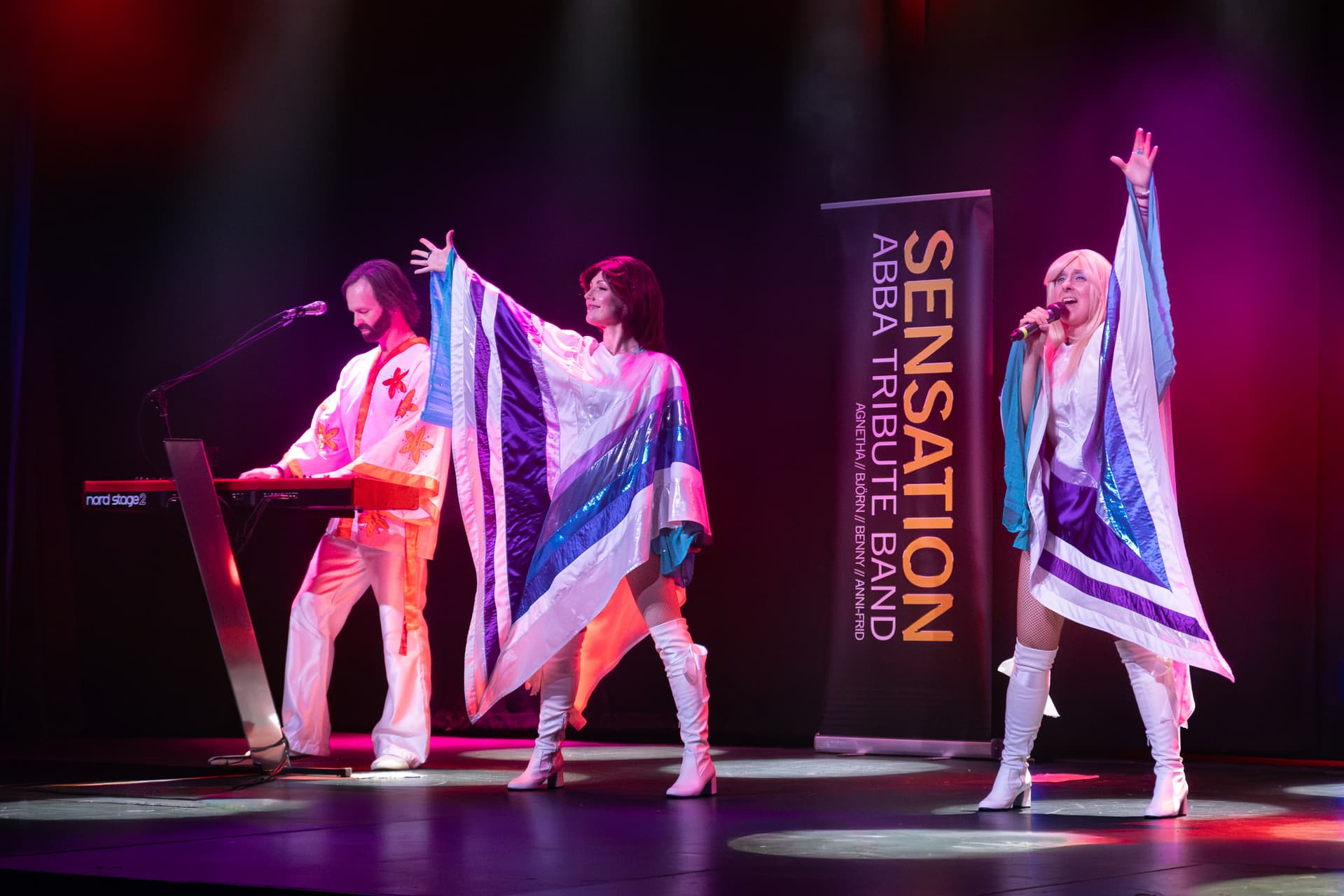 Abba Tribute Band Sensation