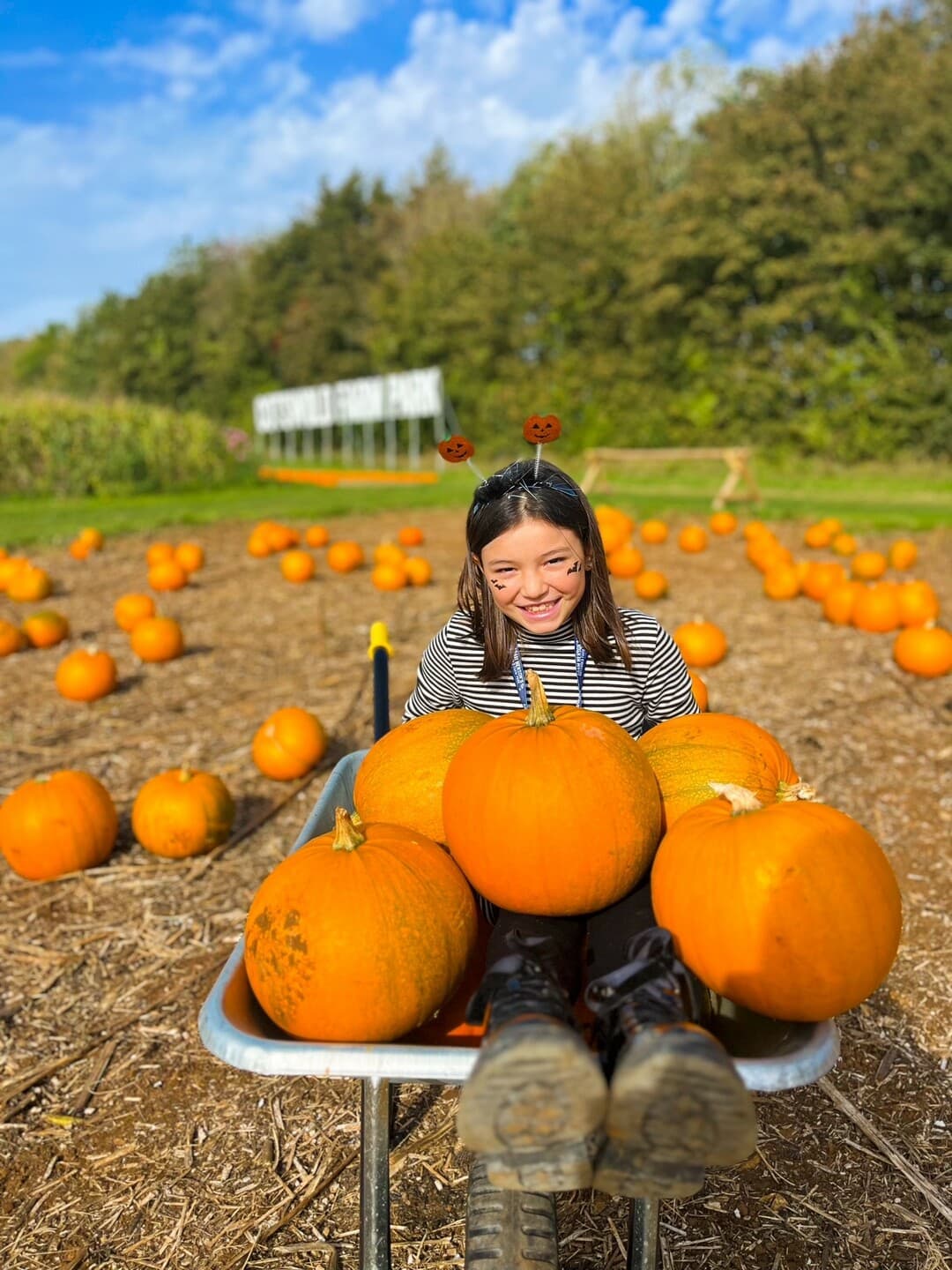 Pumpkin Picking - Pick your own Pumpkins in the Cotswolds