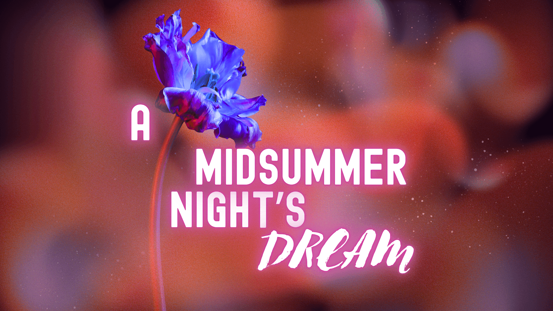 A Midsummer Night's Dream
