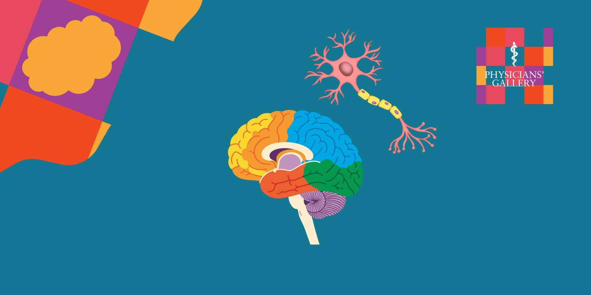 Drop-in Activity: Brain Lab