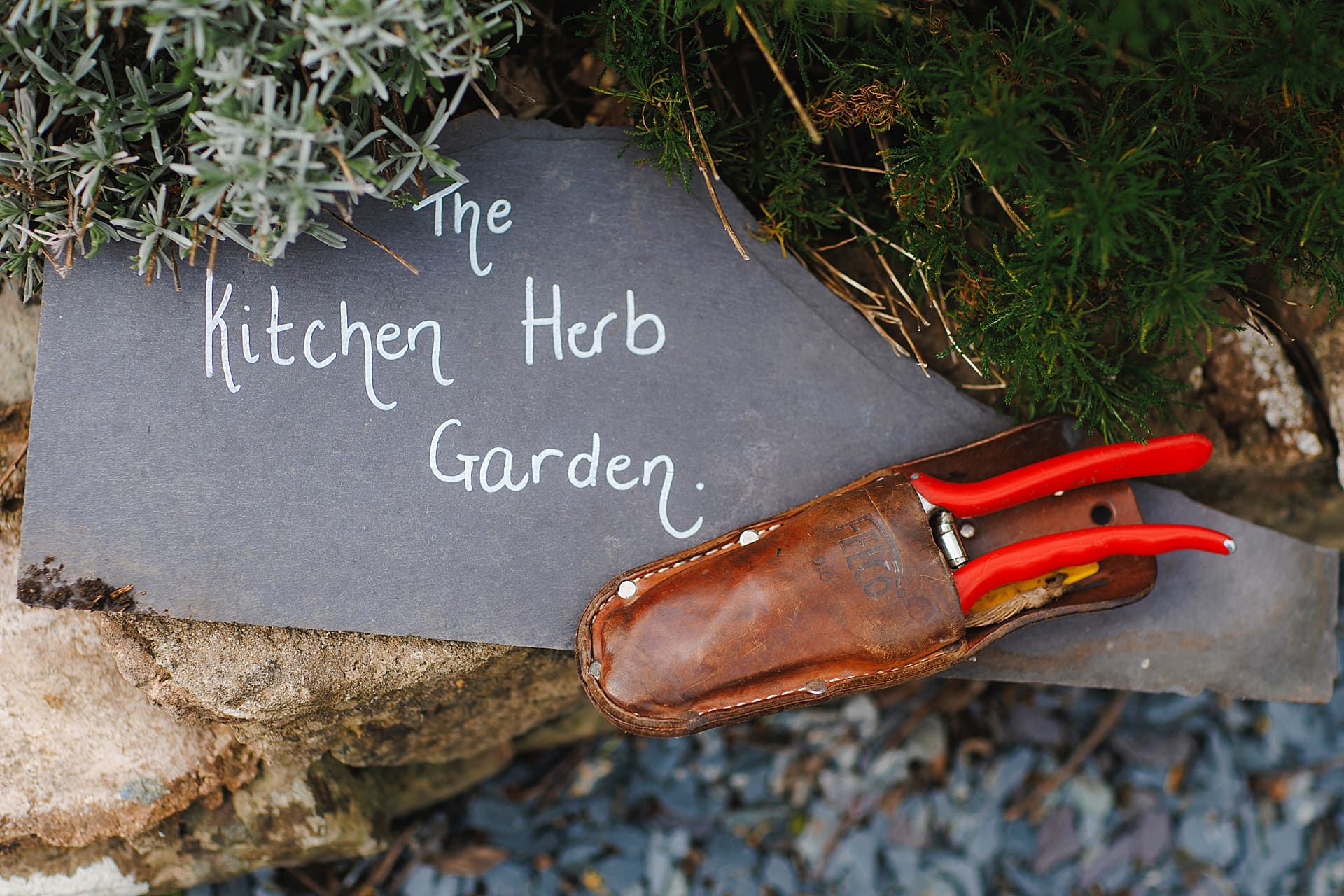 Summer Garden Walk and Talk with Caer Rhun Hall's Head Gardener