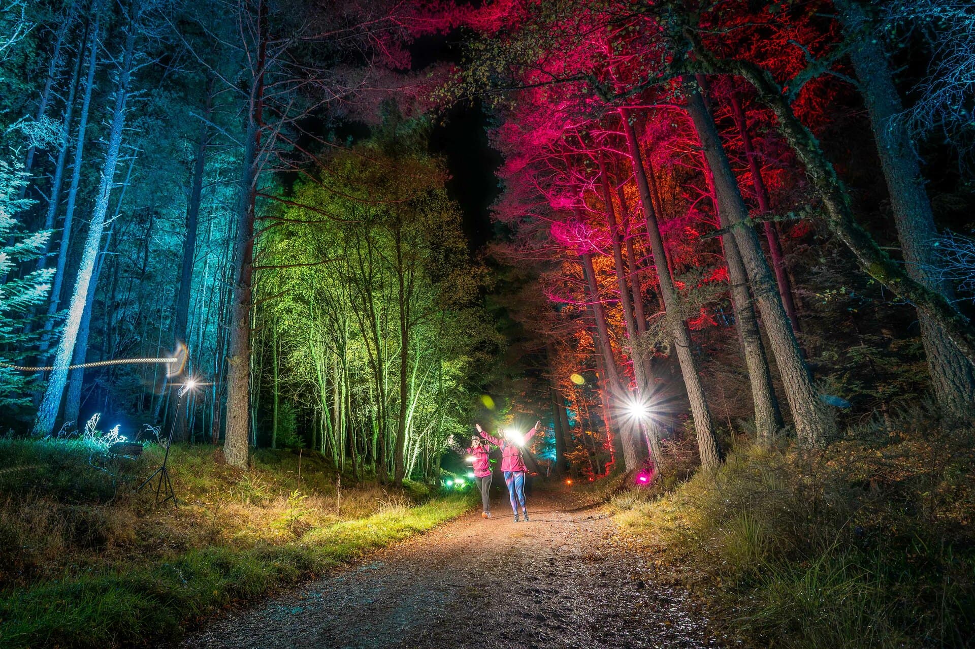 Illuminator Night Trail Race