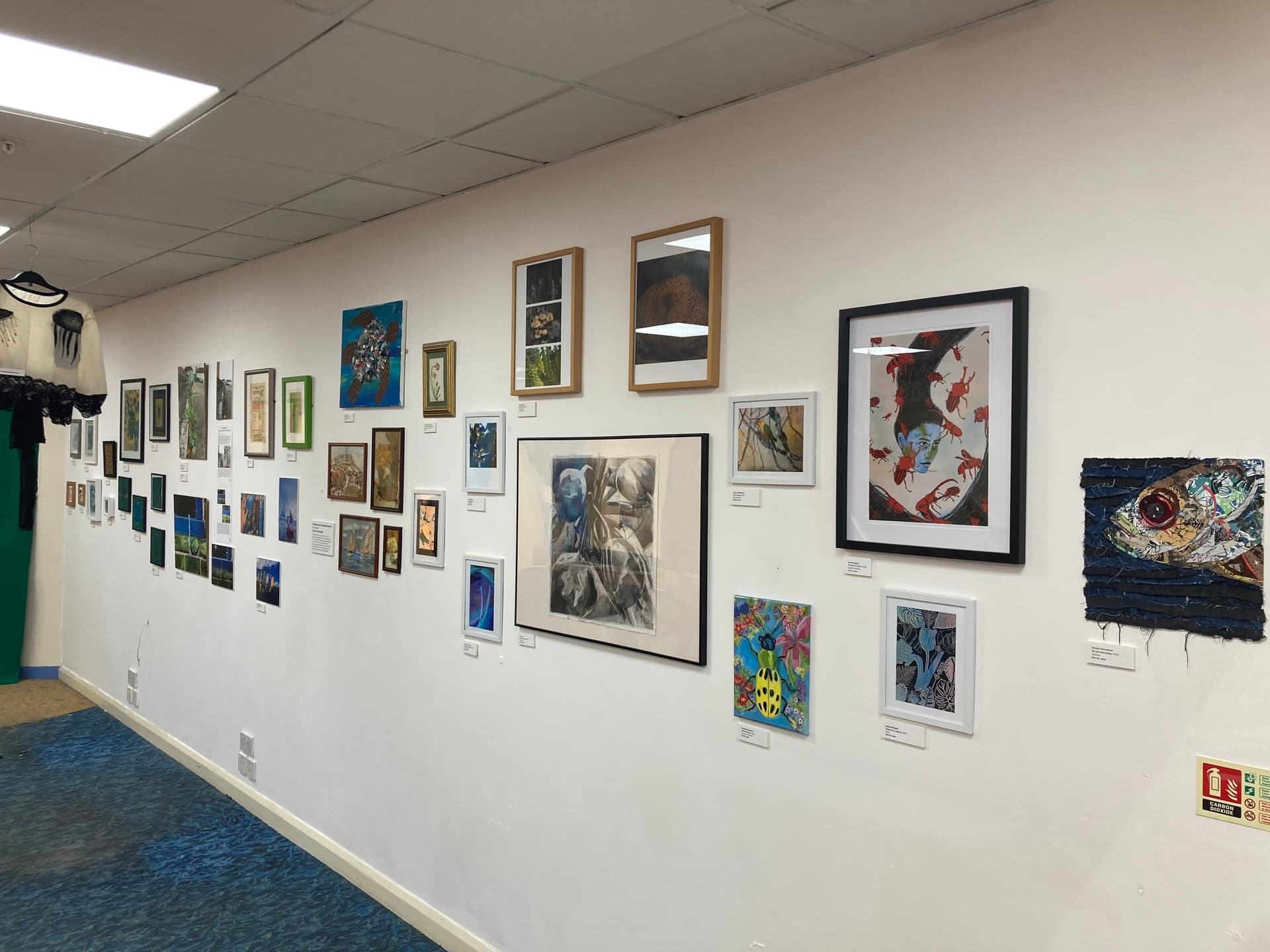 A Celebration of Biodiversity Exhibition