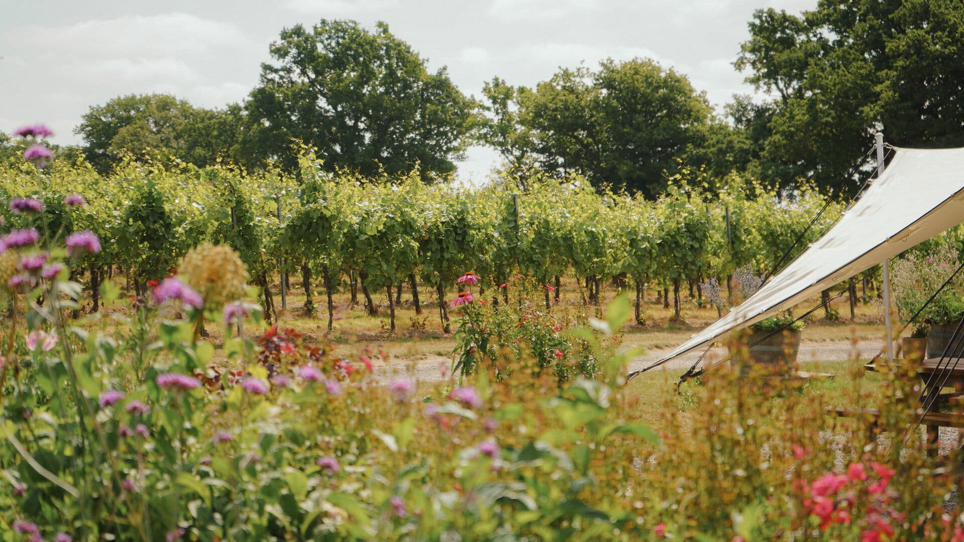 Vineyard Platter for Two with Wine