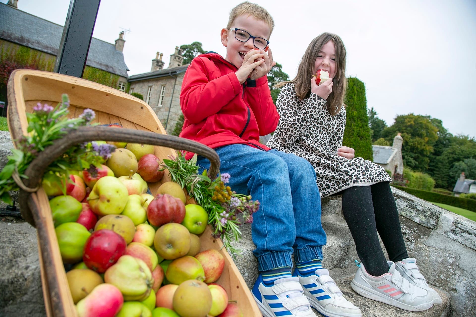 Apple Weekend