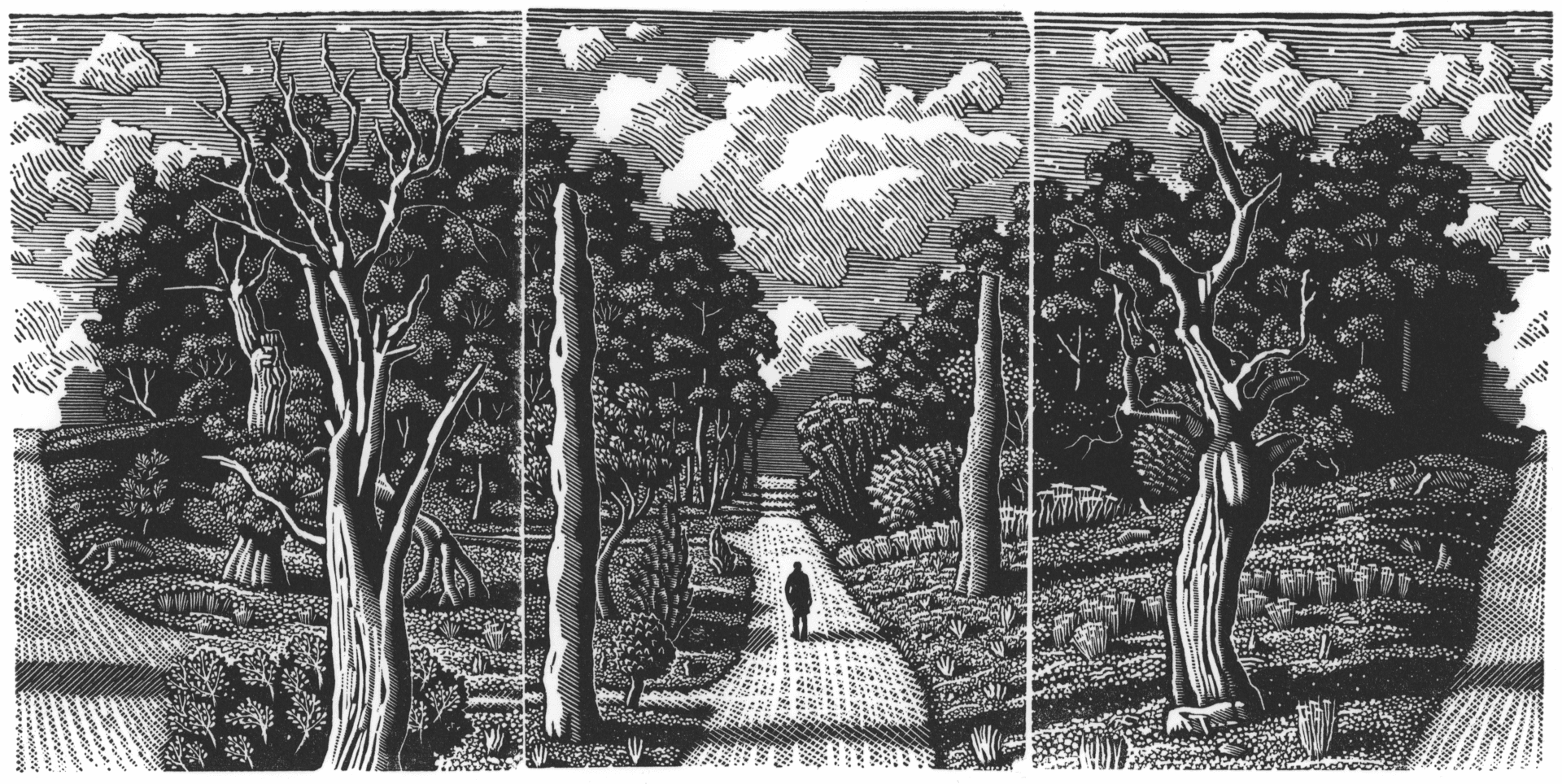 The Society Of Wood Engravers: 88th Annual Exhibition