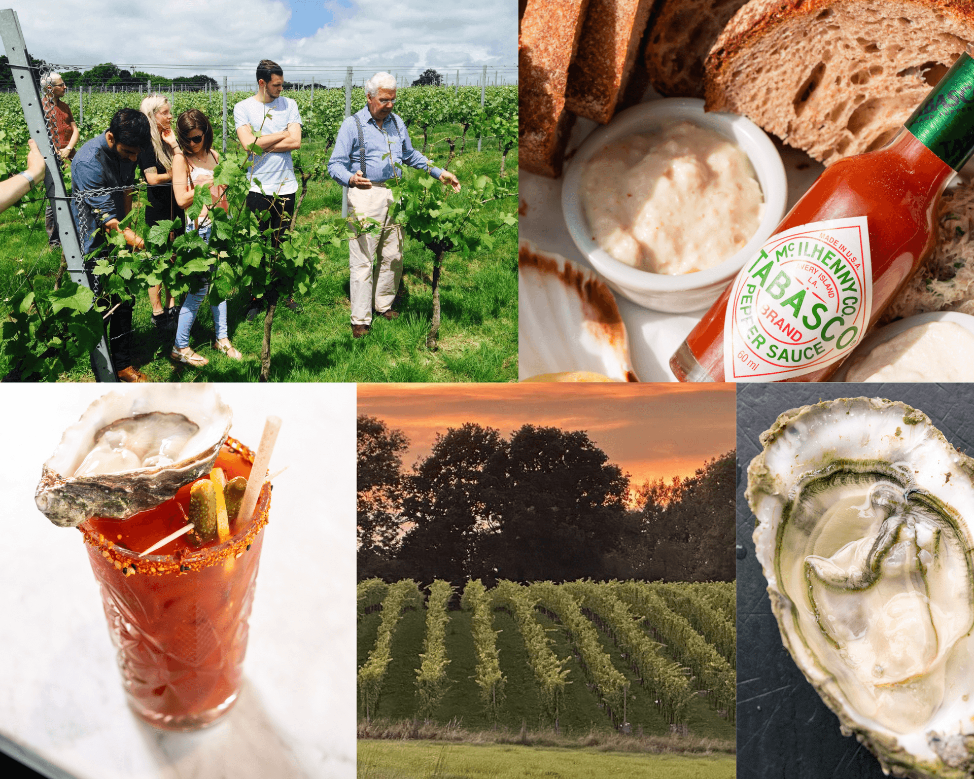 A Day in The Vines - Riddle and Finns & Court garden Vineyard