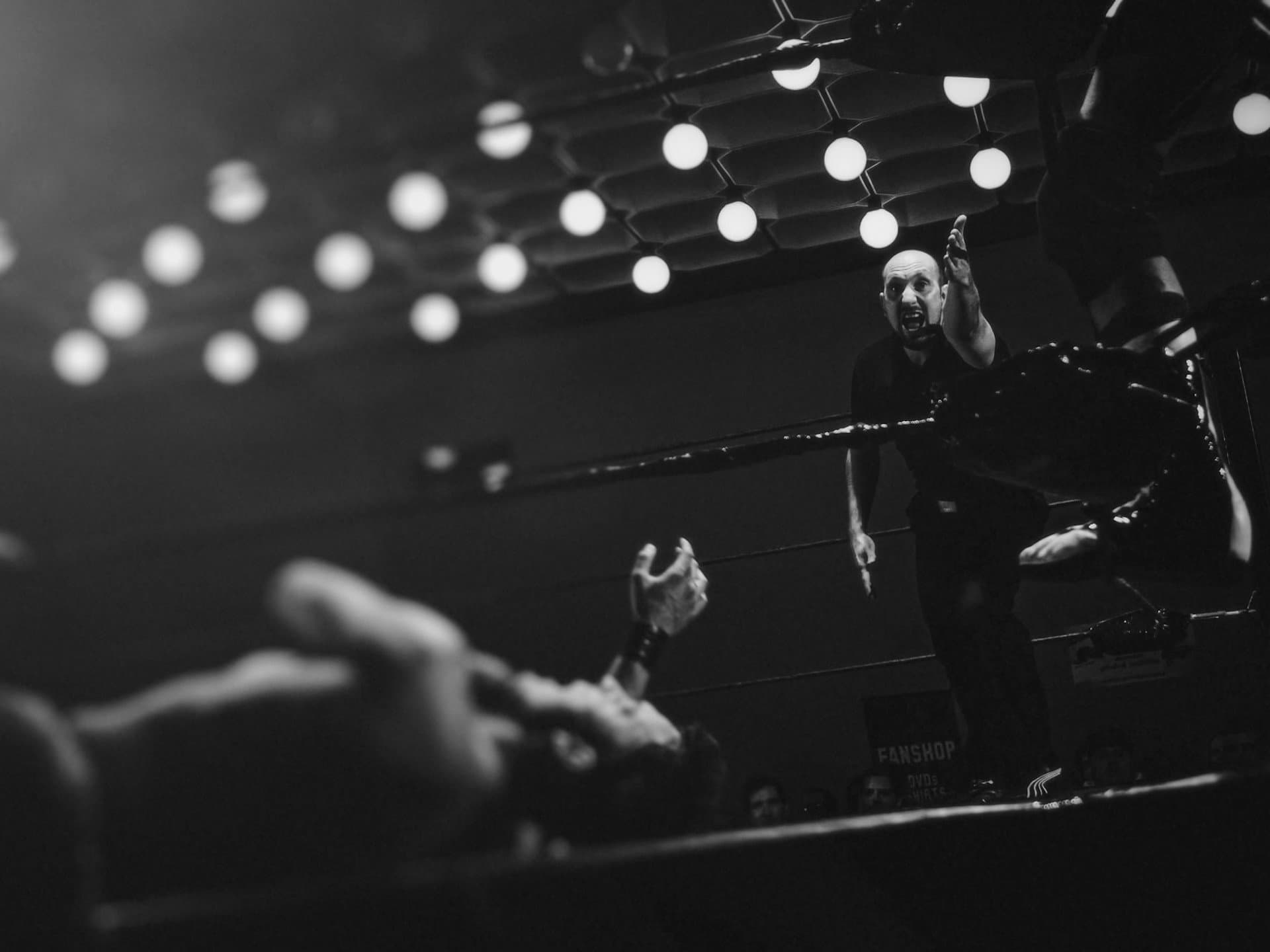 W3L Wrestling