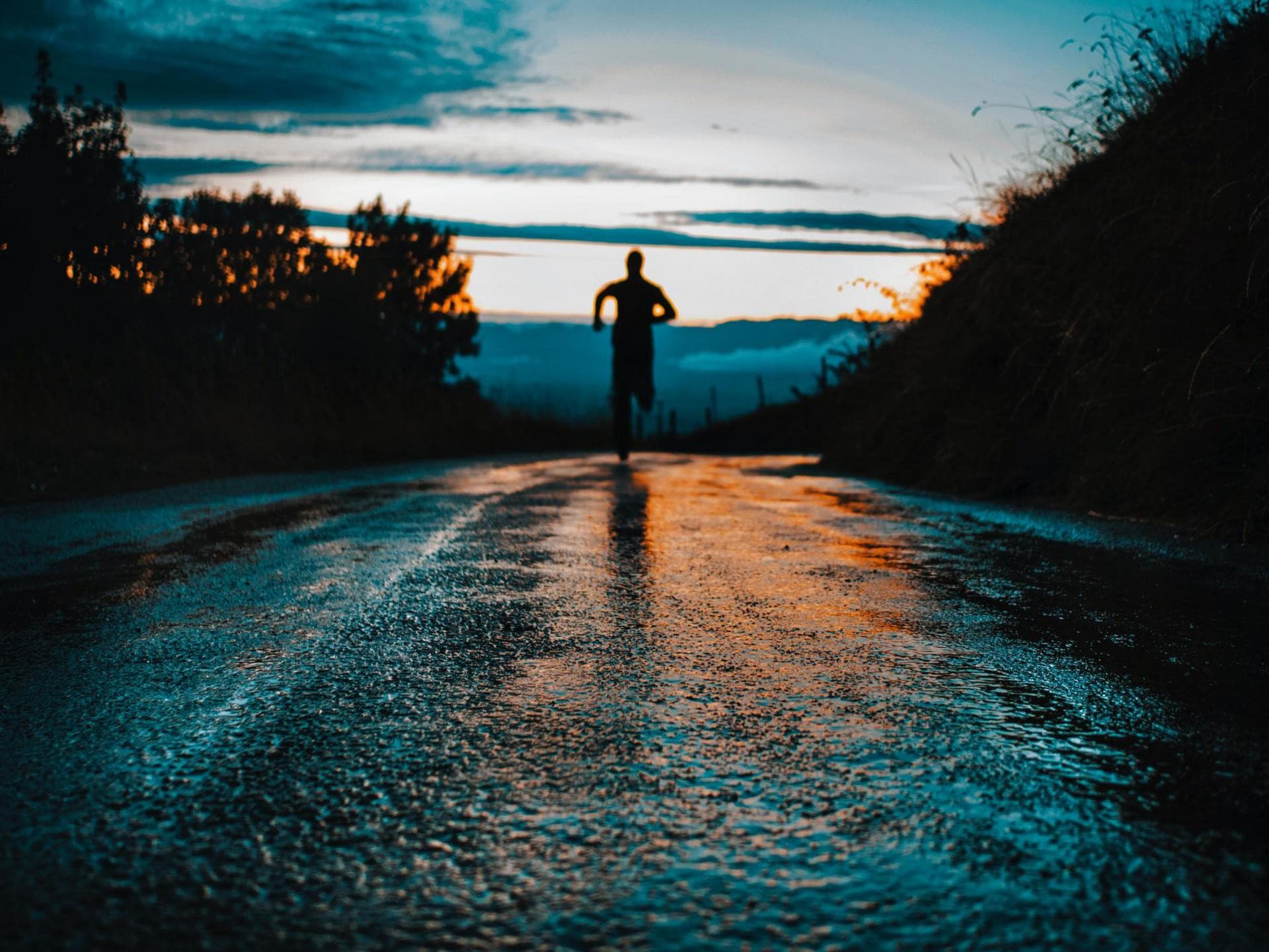 Run Fest