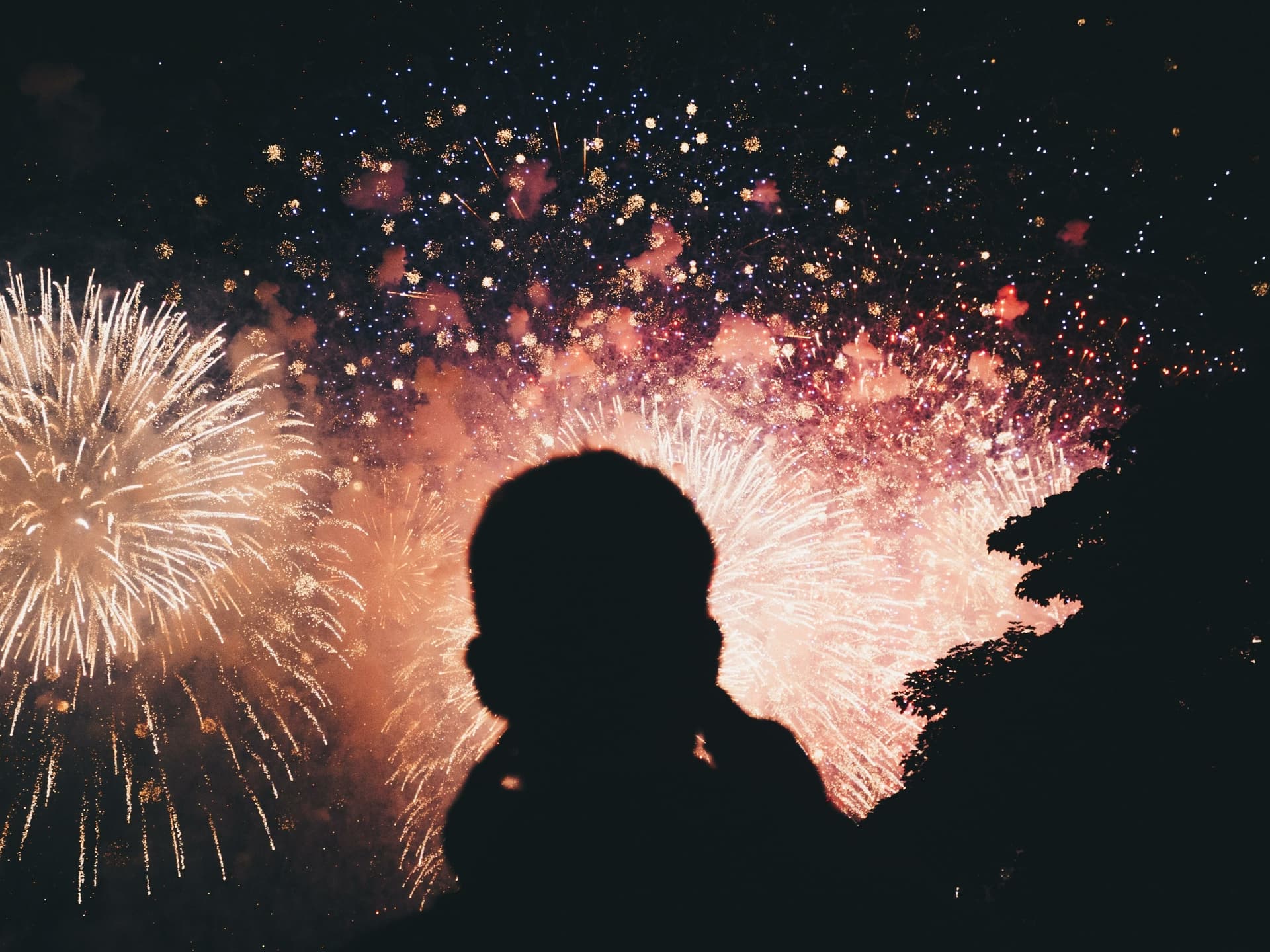 Fireworks Night at Leonardslee Wine Estate