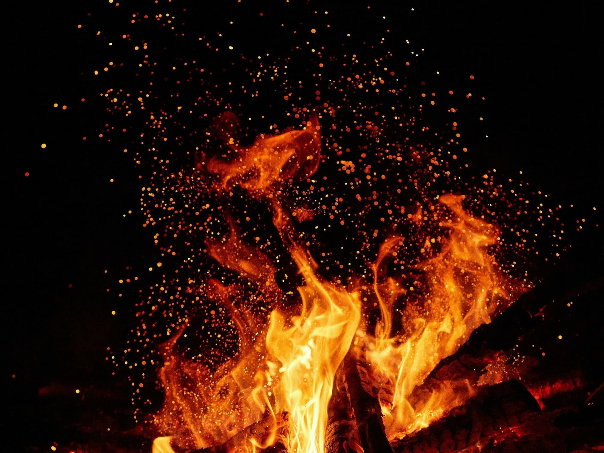 Bonfire & Fireworks Night