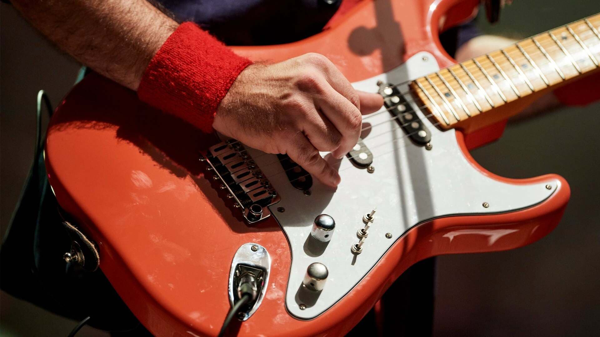 Brothers In Band - a Tribute to Dire Straits