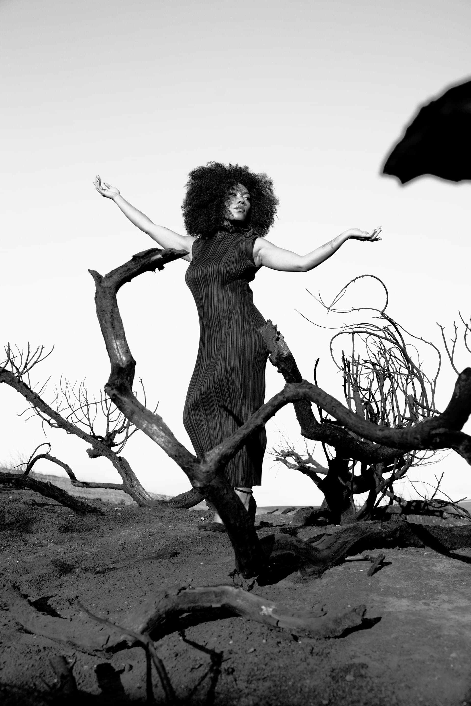 Madison McFerrin