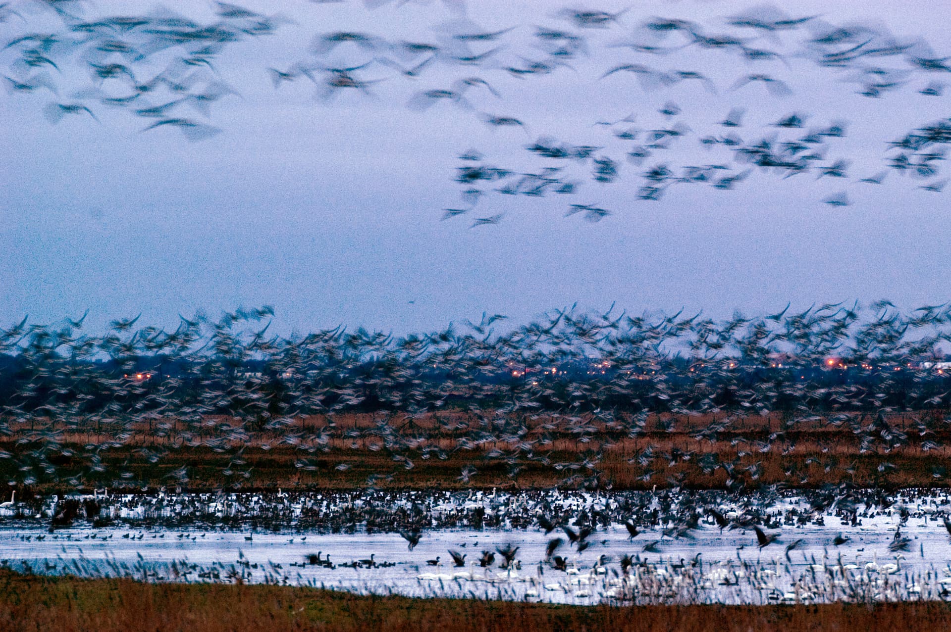 Dawn Flights