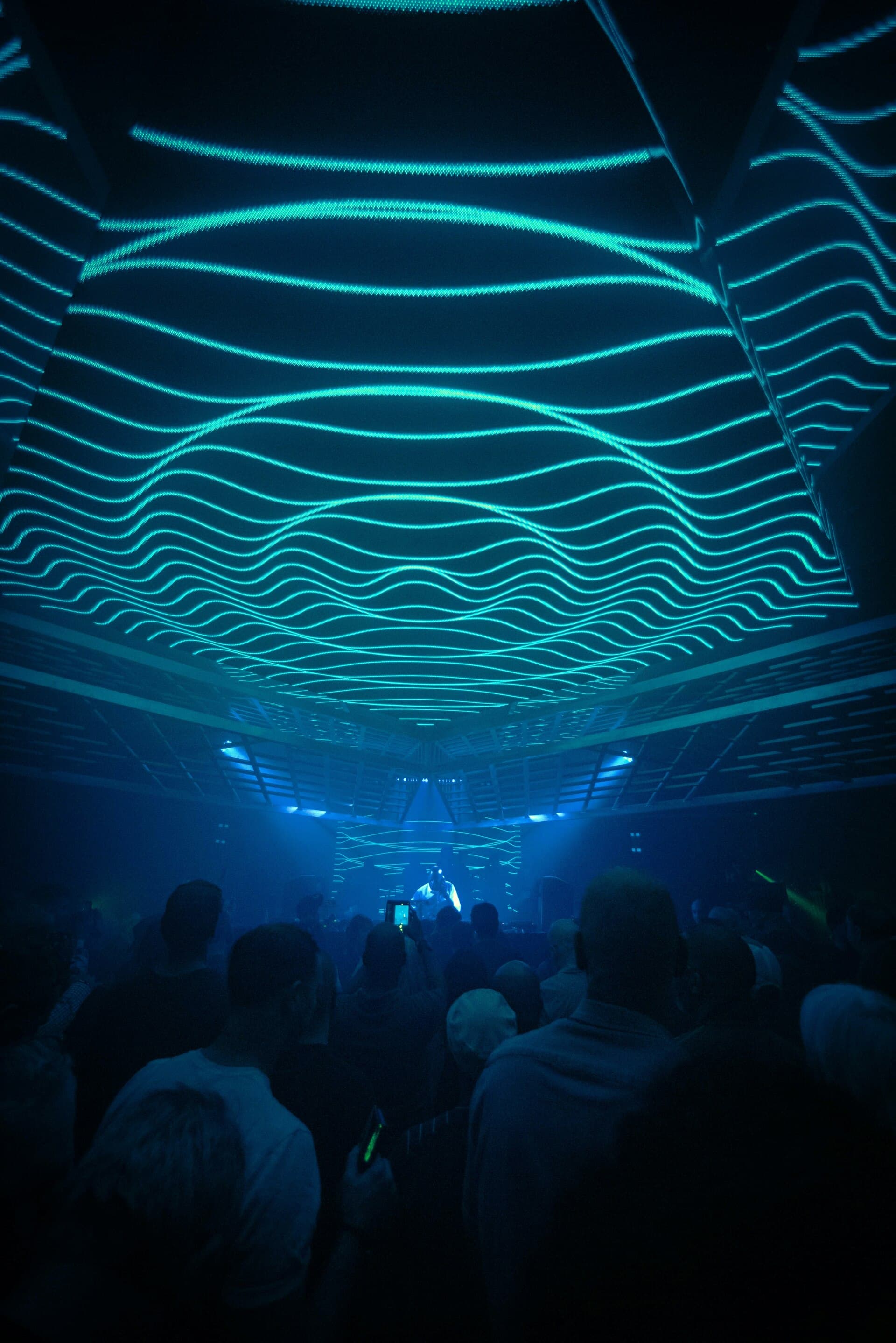 Blink: Zerb, Rolipso, Middltn, Opus