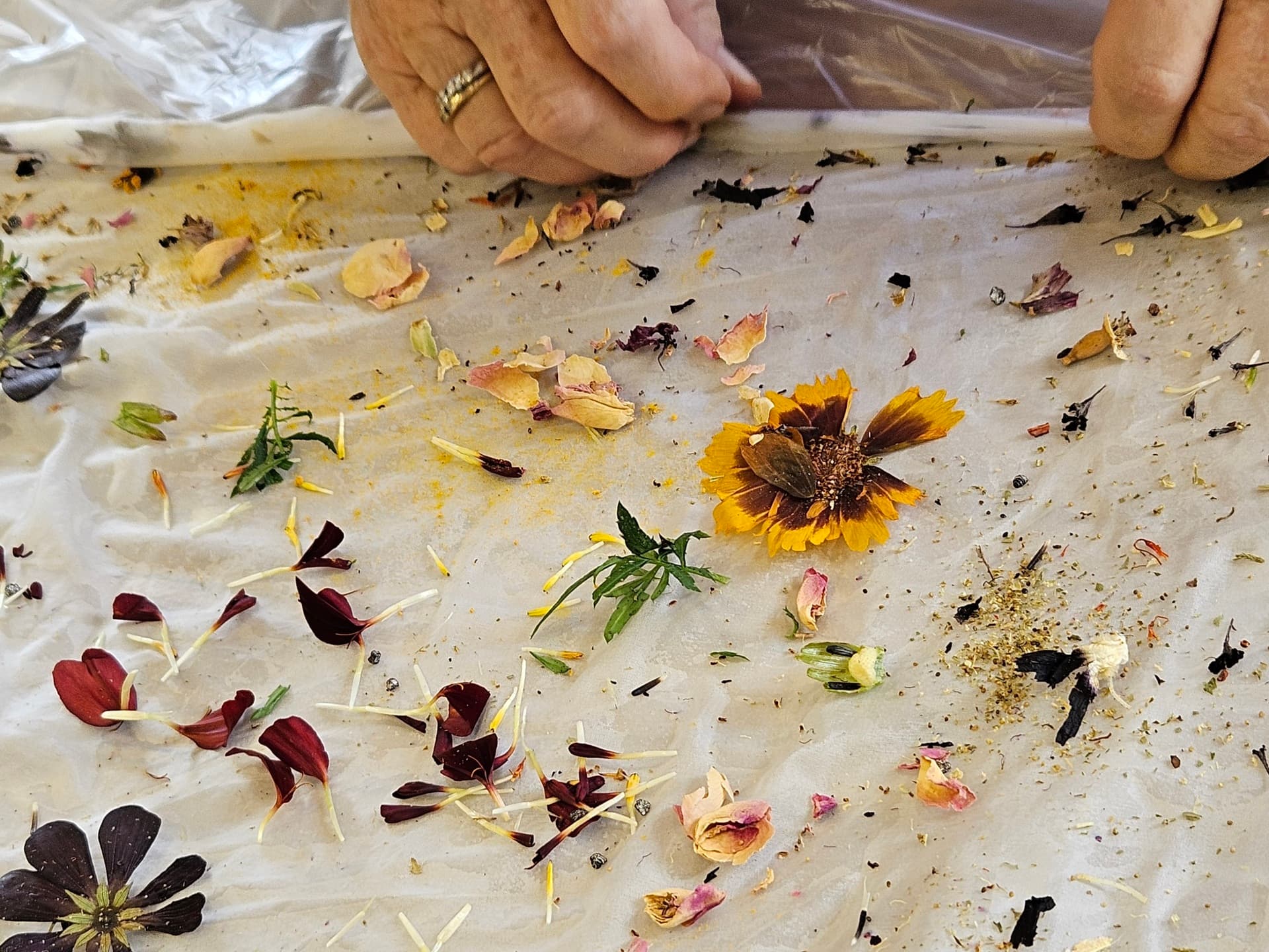 Botanical Silk Scarf Workshop: The Art of Natural Dyes