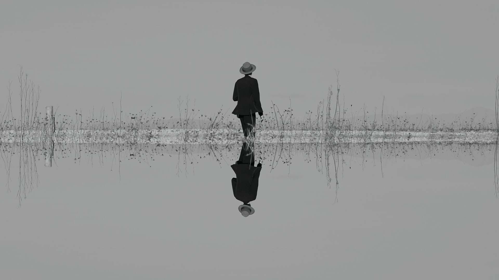 The Veils