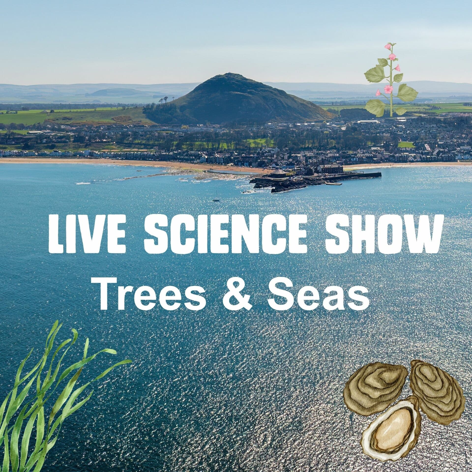 Live Science Show: Trees and Seas