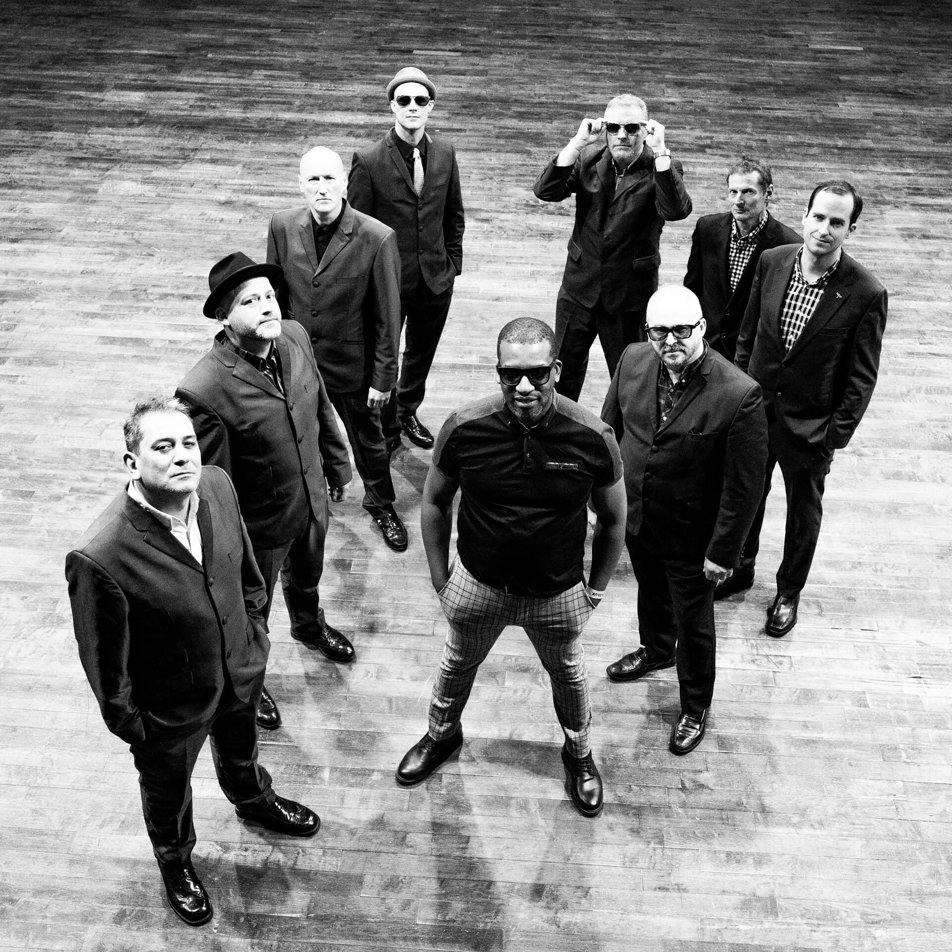 The Specials Ltd.