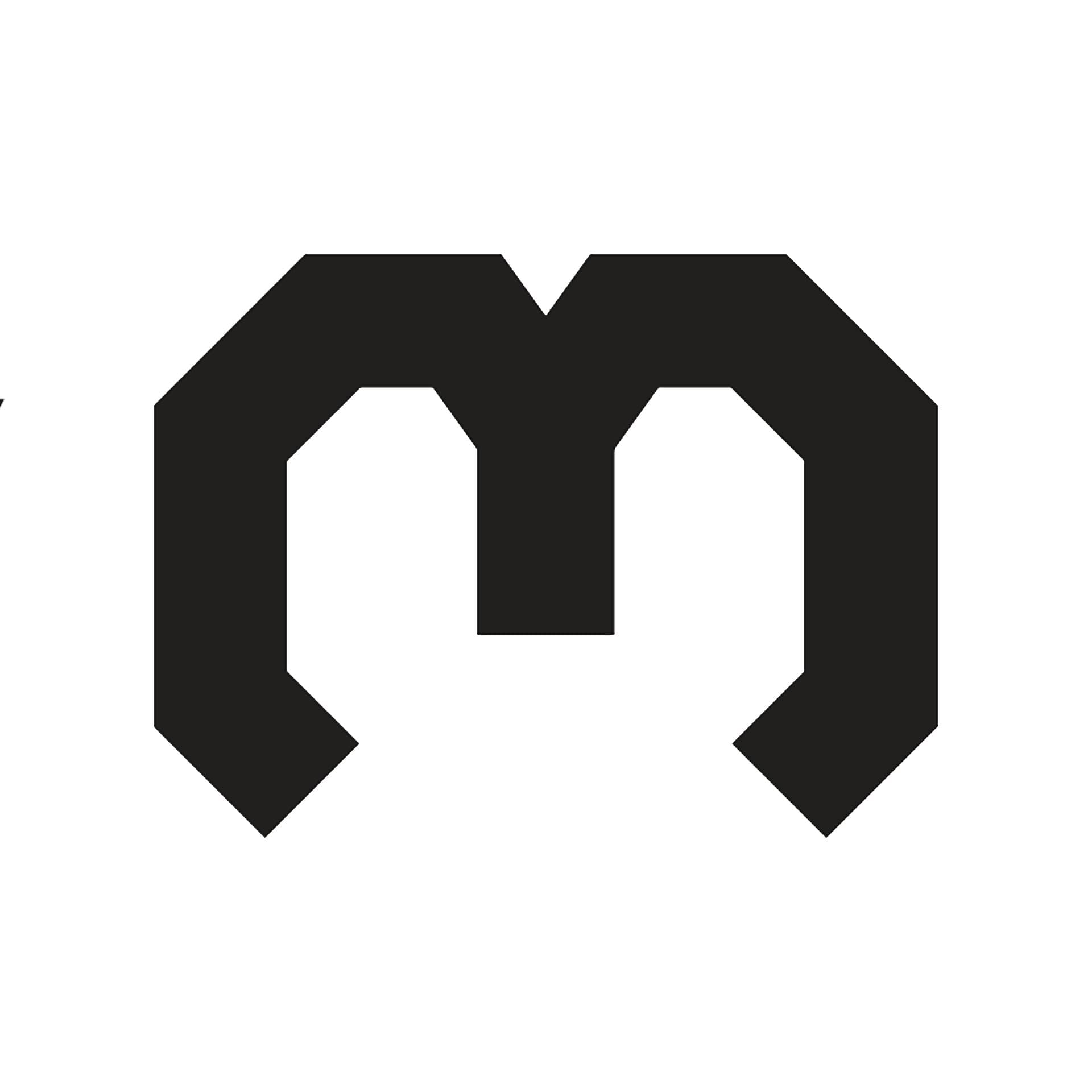 Maxxing