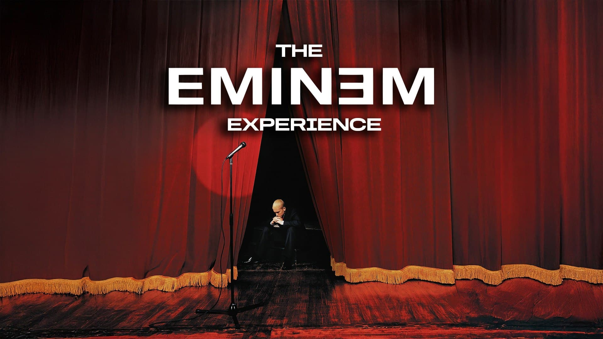 The Eminem Experience In Hull