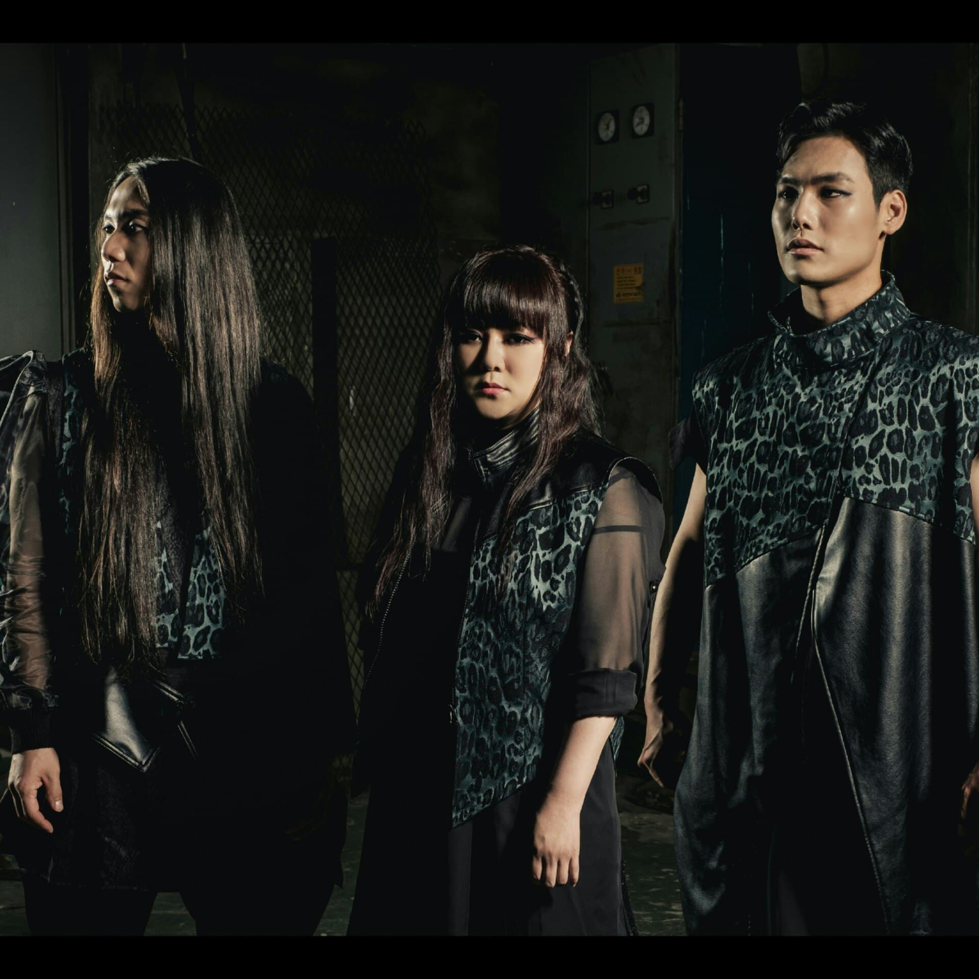 K-music Festival: Dongyang Gozupa