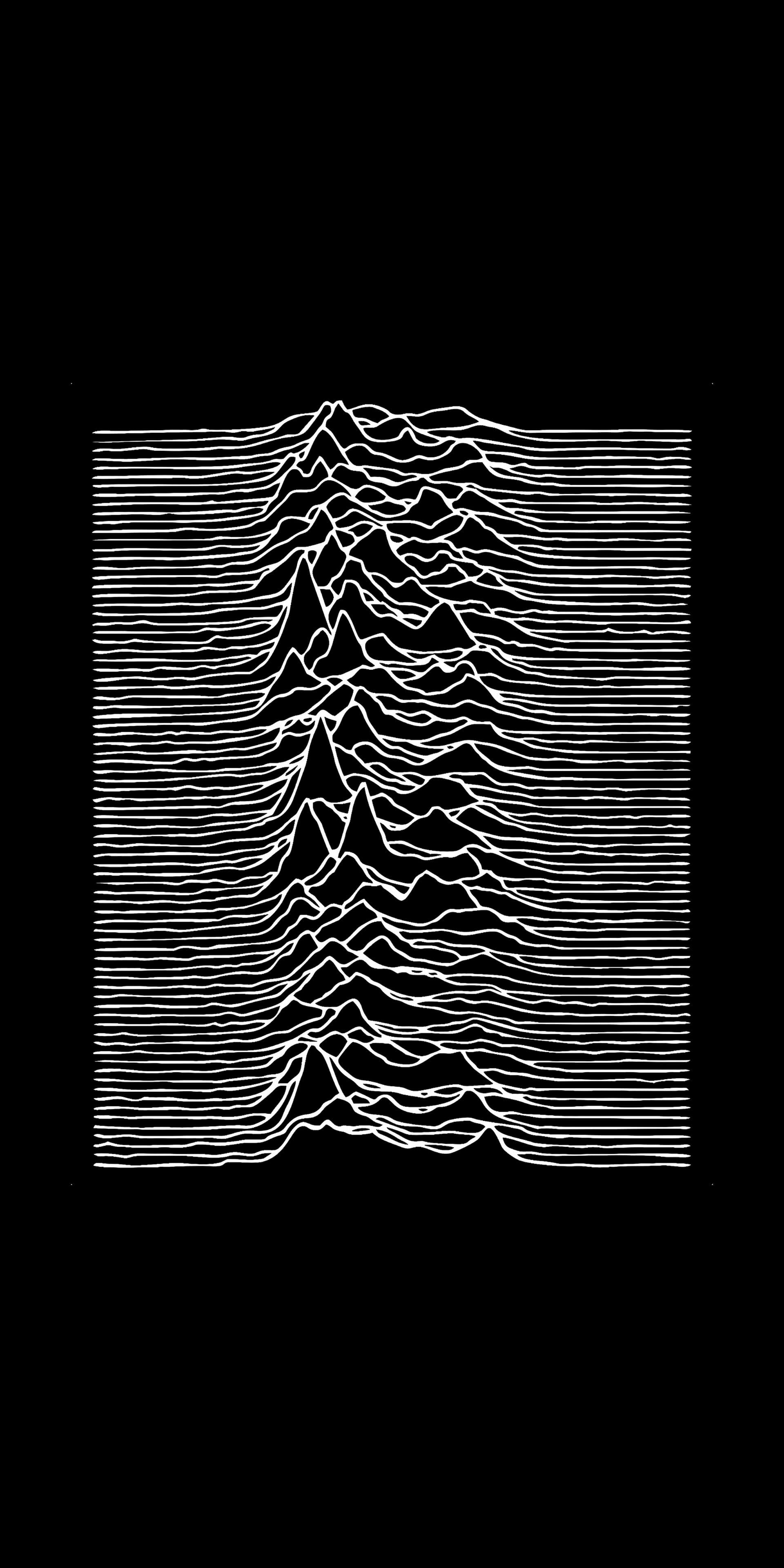 Joy Division Undercover
