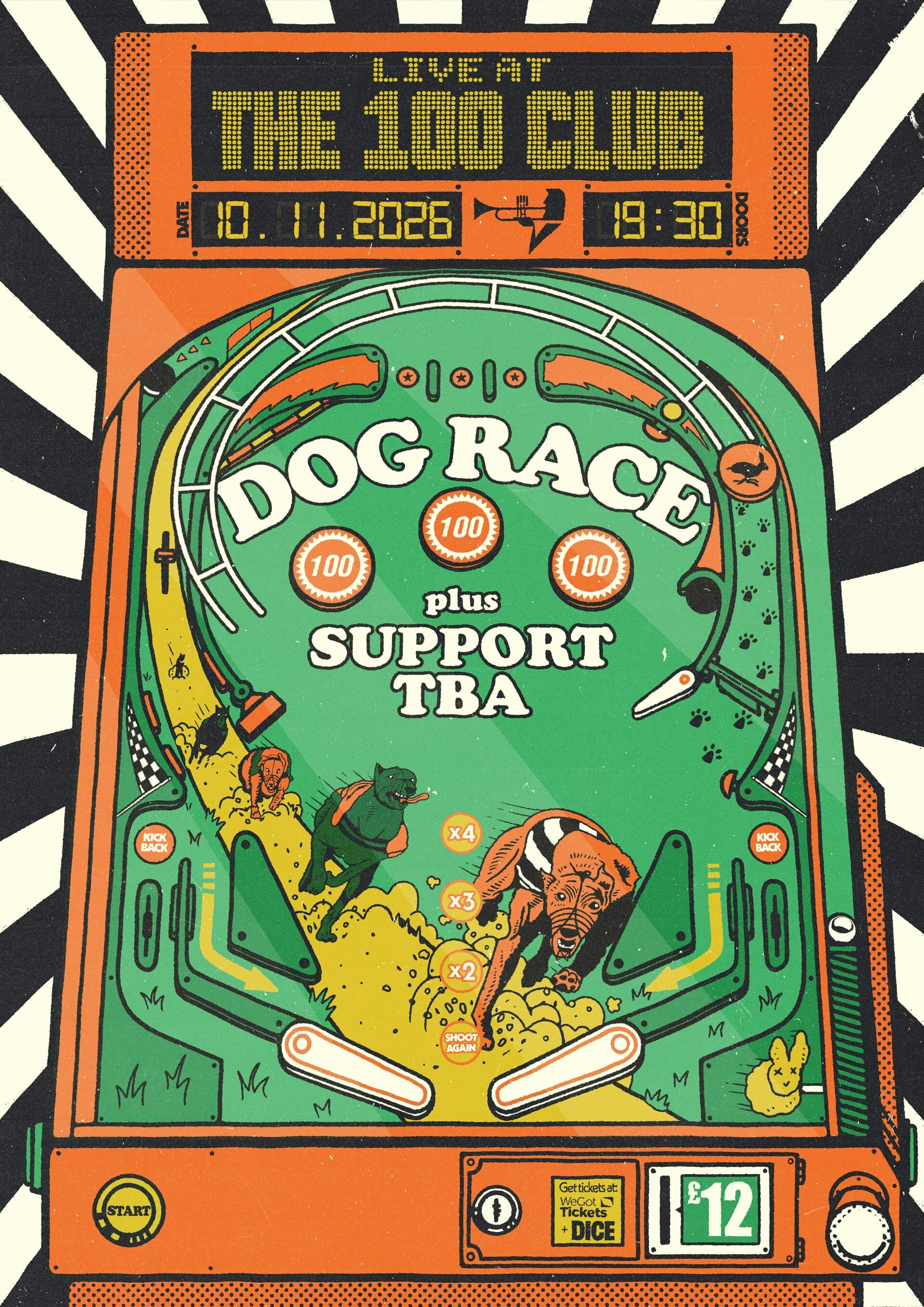 Dog Race