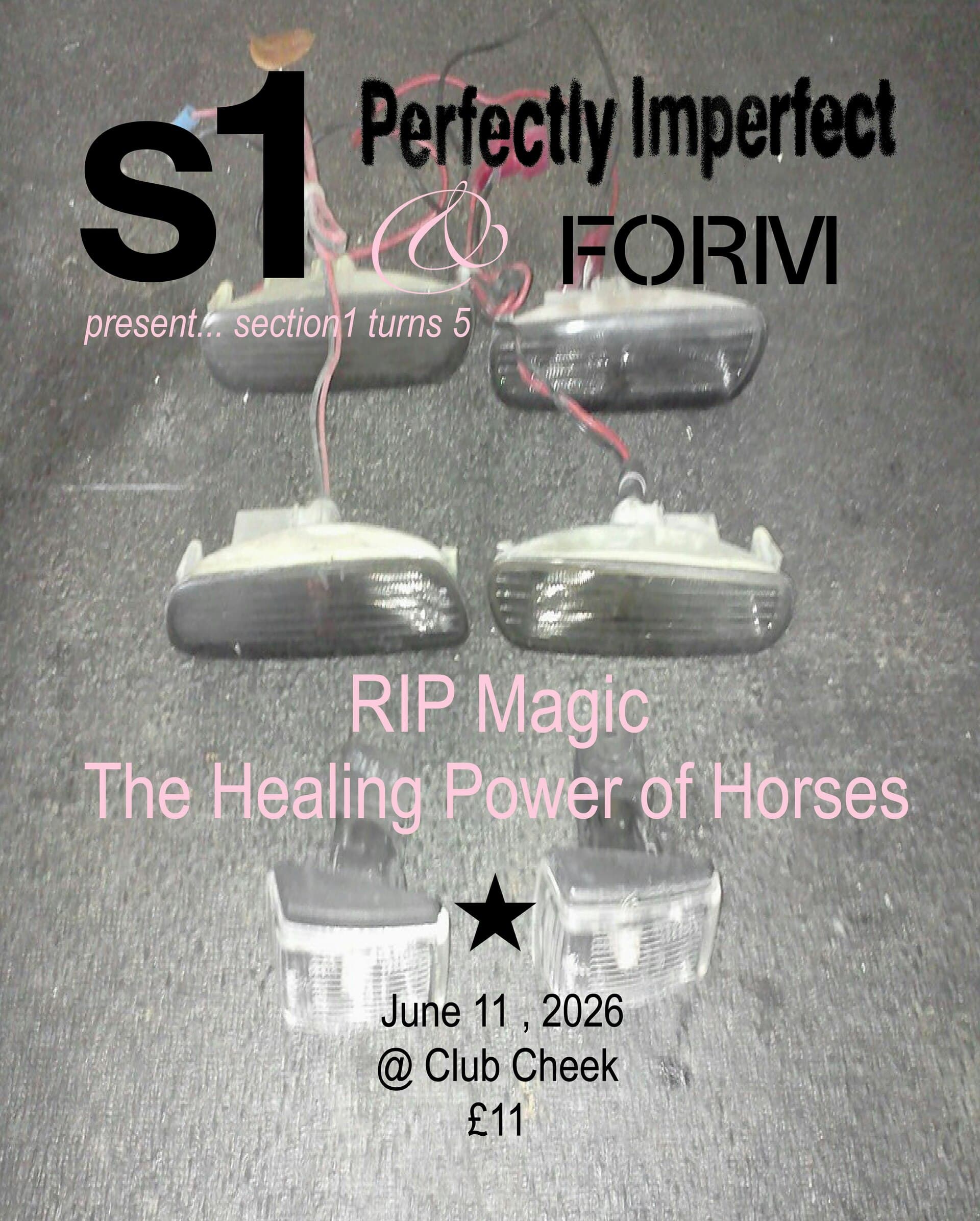 Rip Magic And The Healing Power Of Horses
