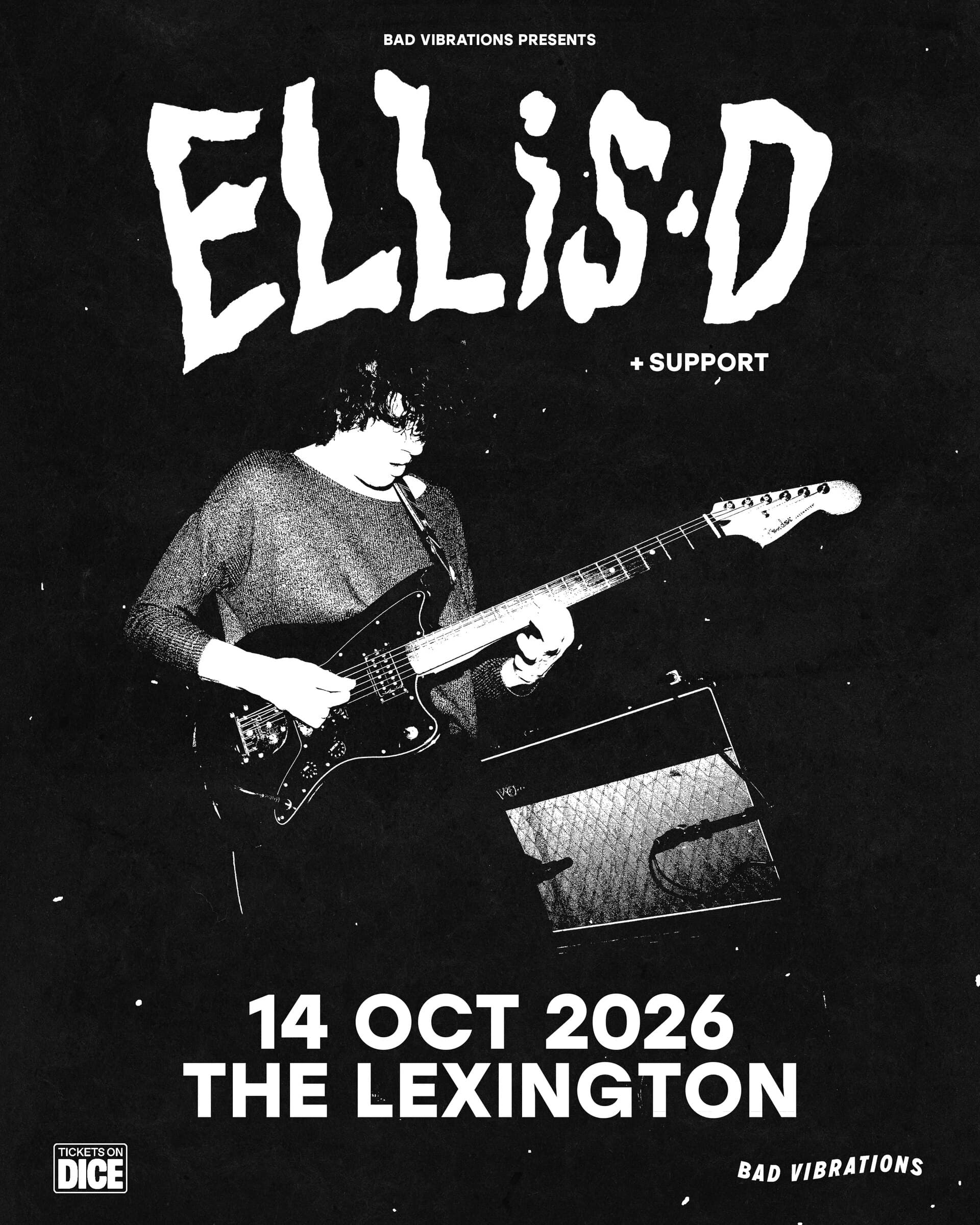 Ellis·d + Huarinami