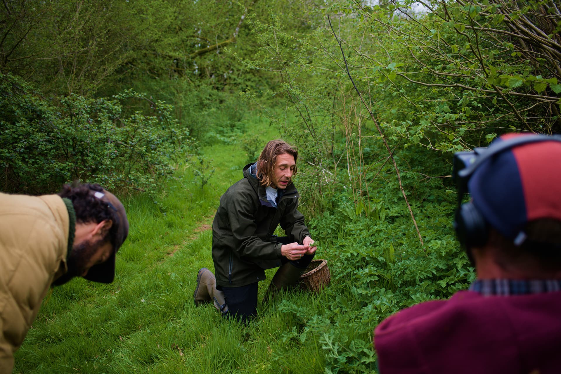 Discover the Wild: Foraging Walk at West Dean