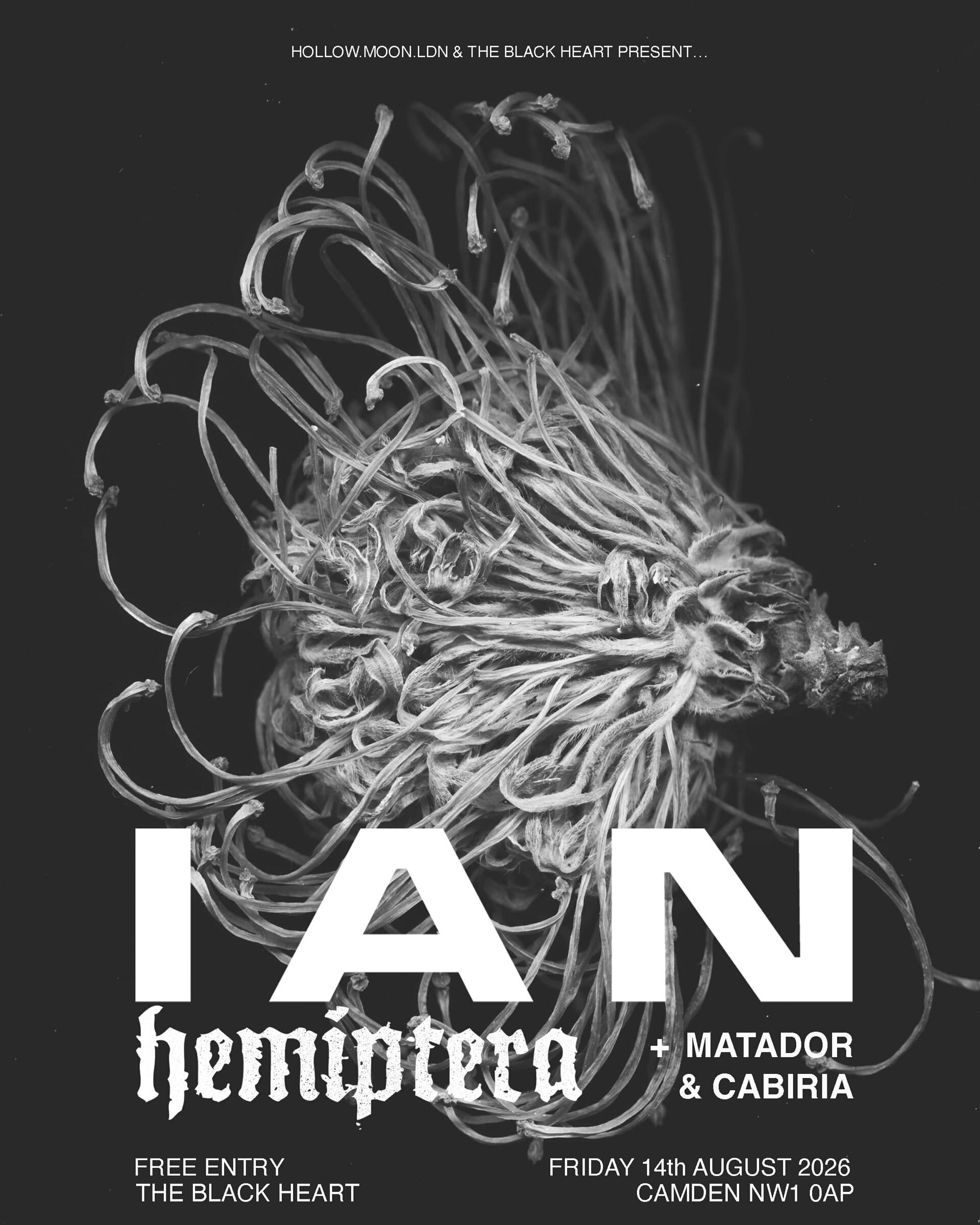 Ian / Hemiptera / Matador / Cabiria (free Entry)