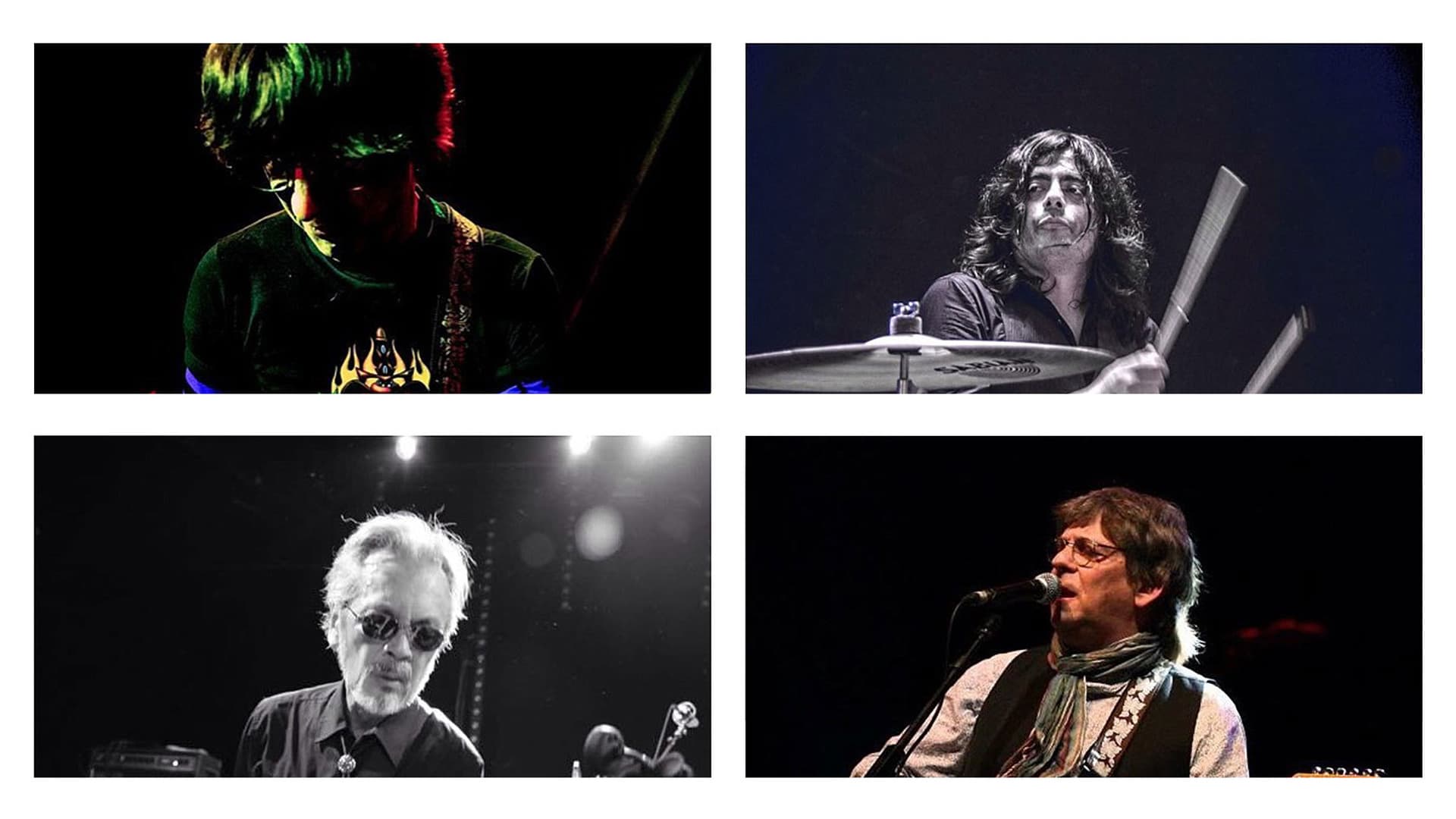 Flamin Groovies