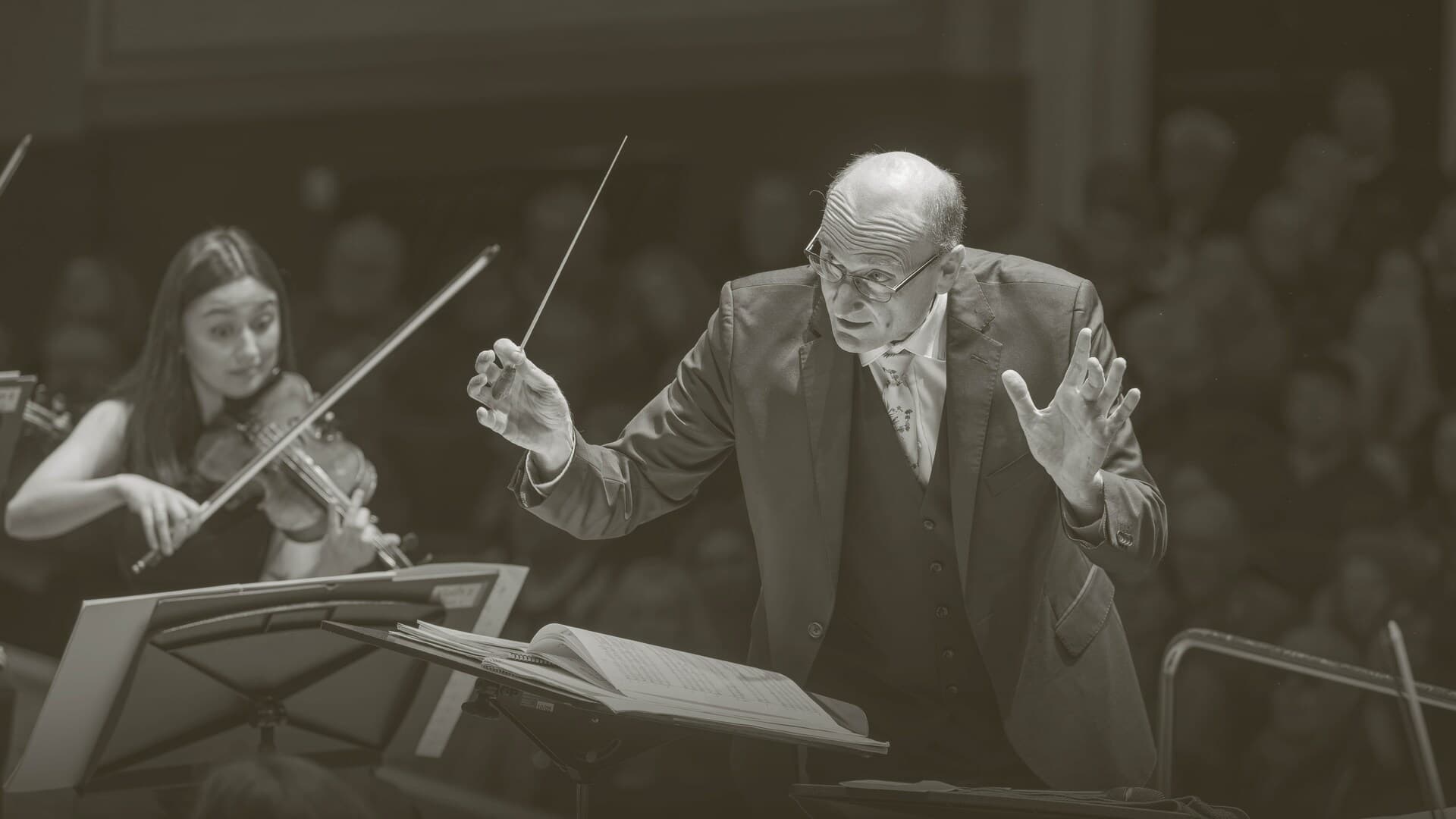 Tchaikovsky Serenade