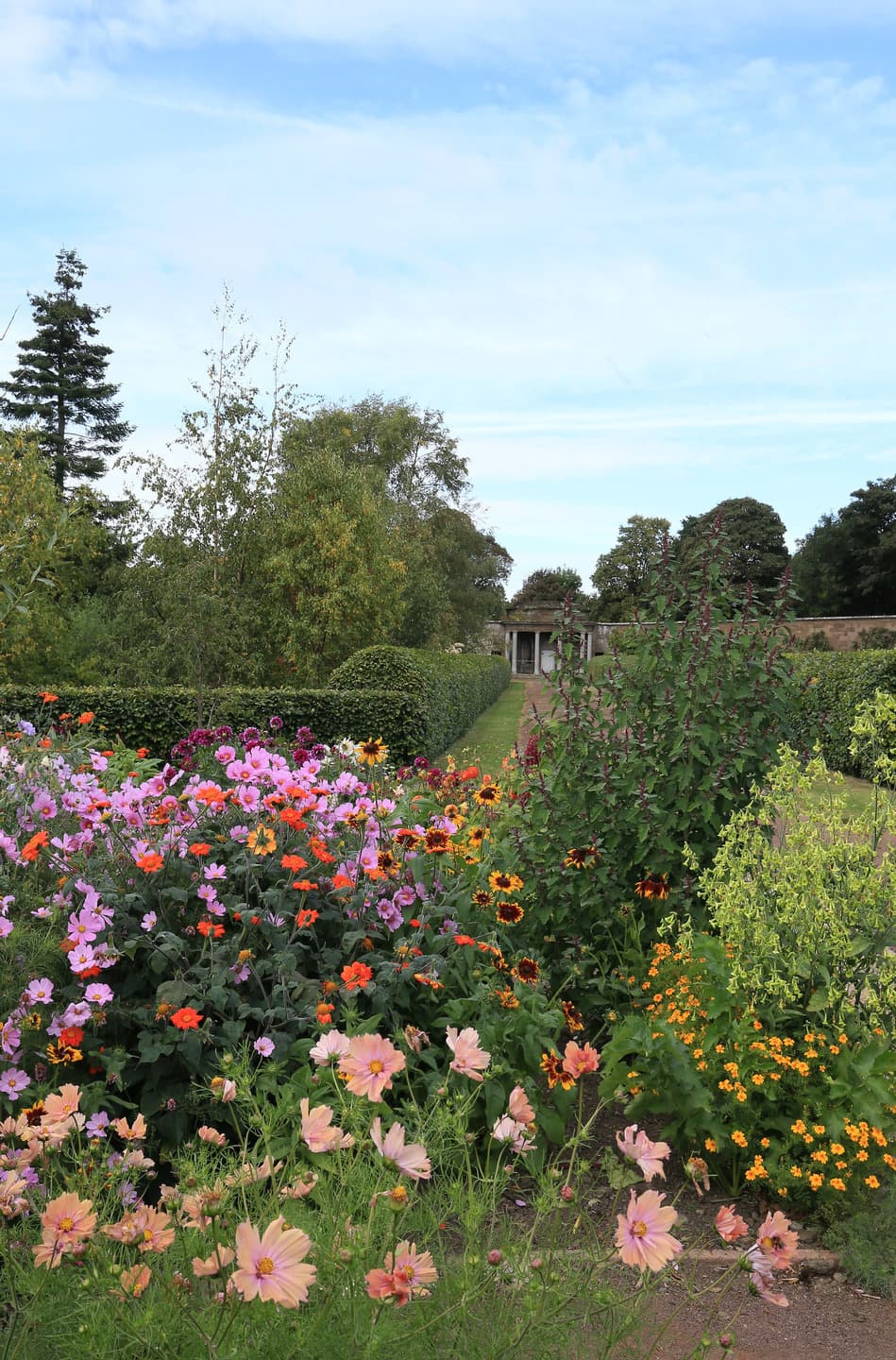 Charity Garden Opening - Amisfield Walled Garden