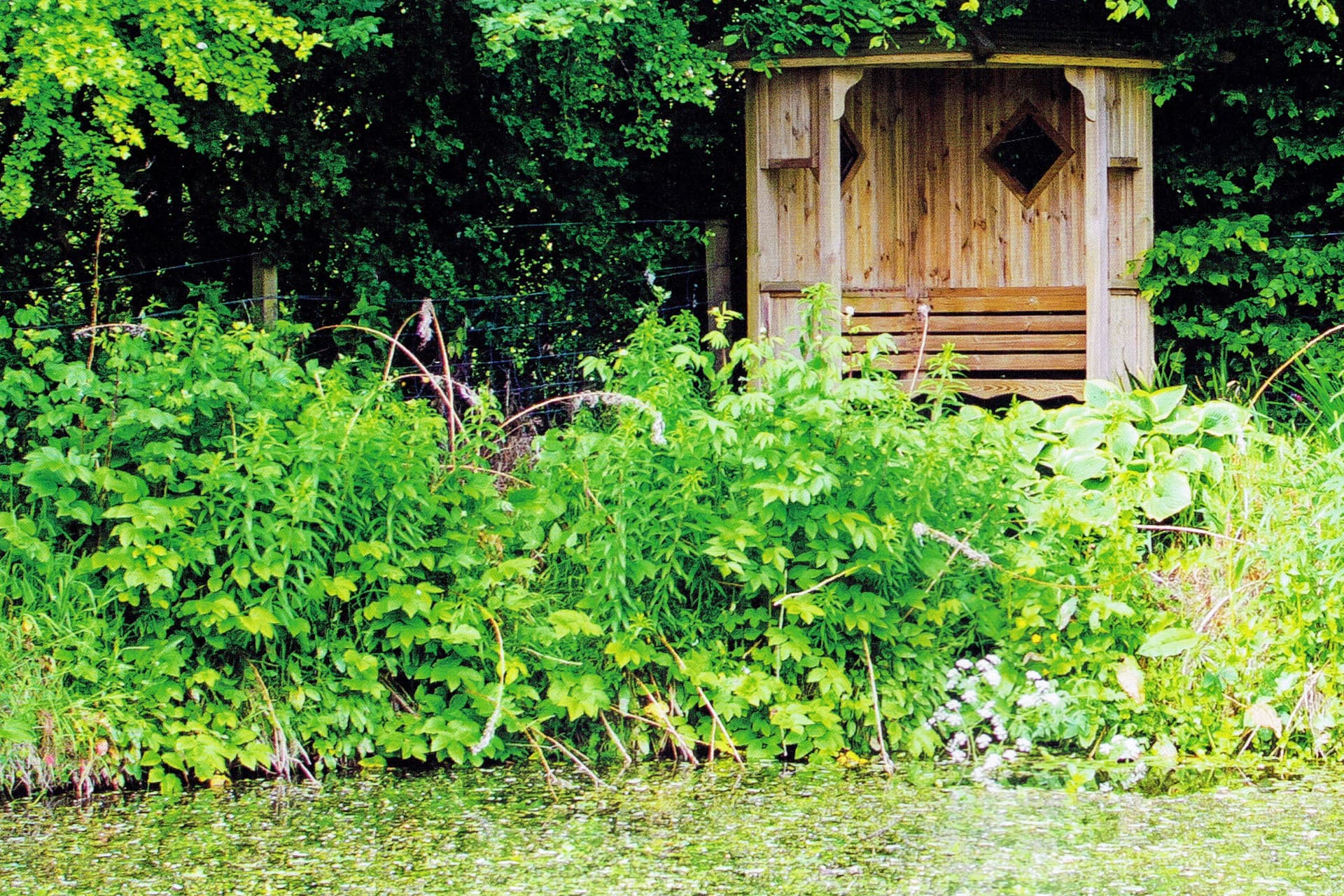 Charity Garden Opening - Bruckhills Croft