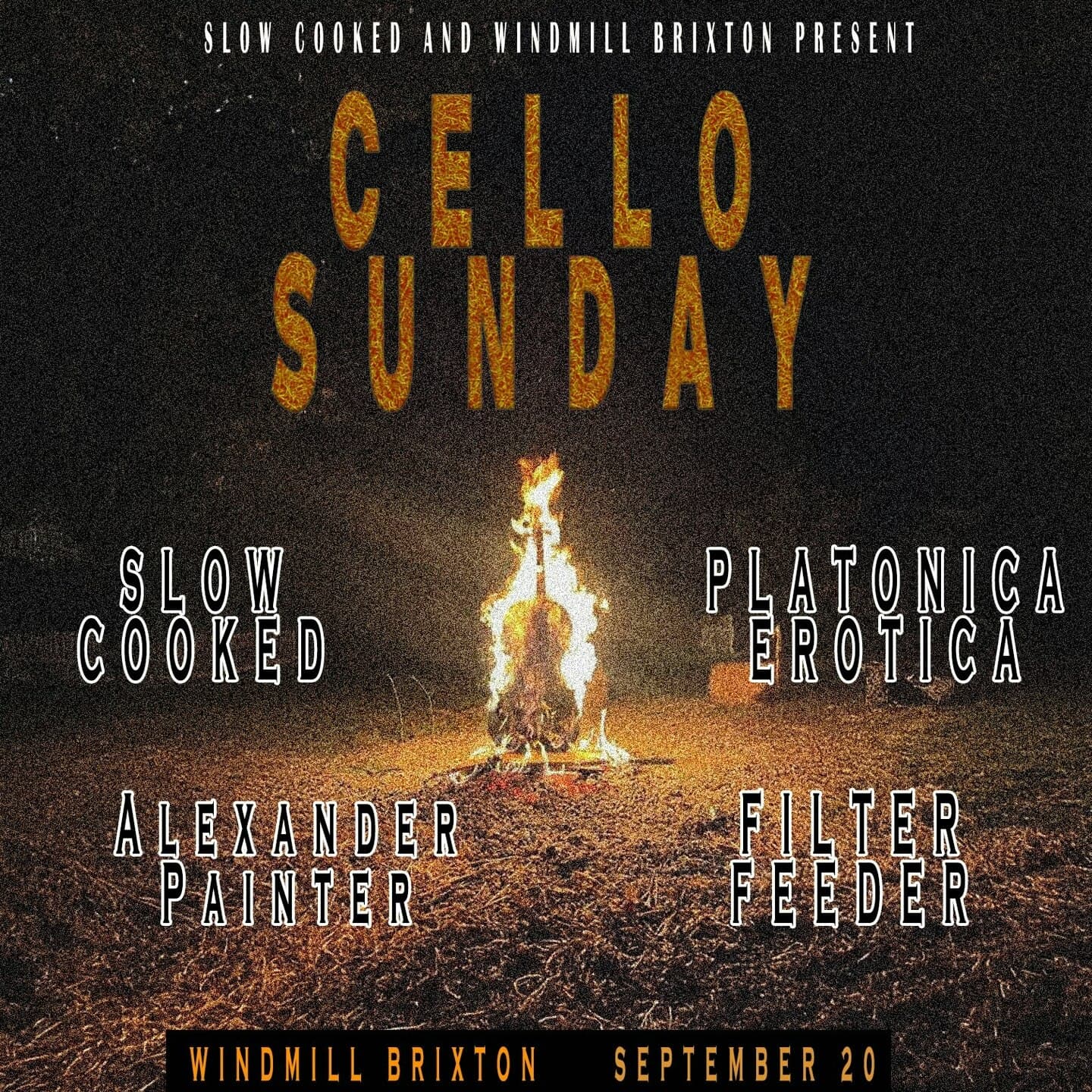 Cello Sunday - Slow Cooked, Platonica Erotica, All