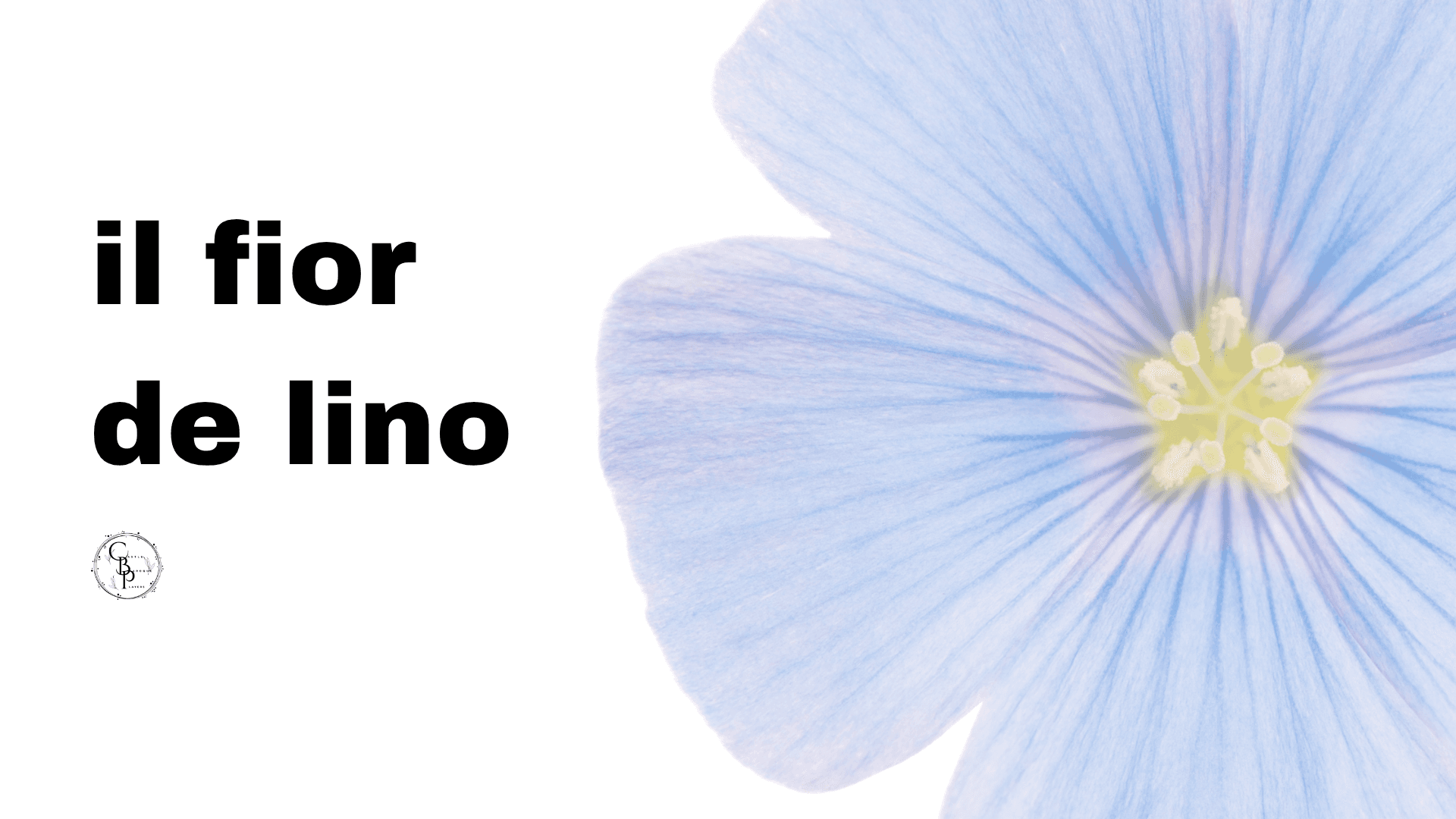 Il Fior de Lino: Music from across seventeenth-century Italy