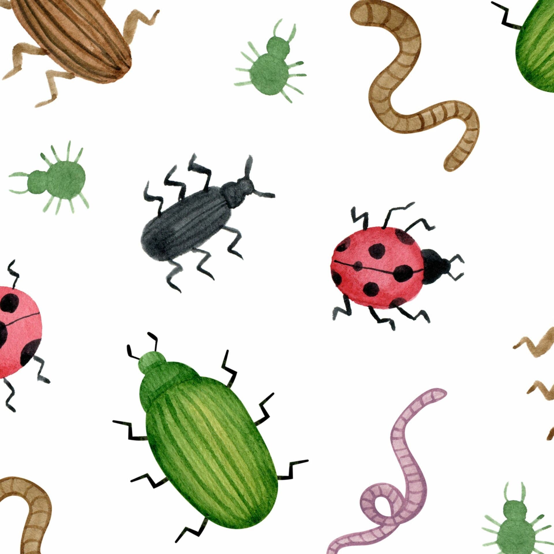 Bugs! Bugs! And more Bugs!