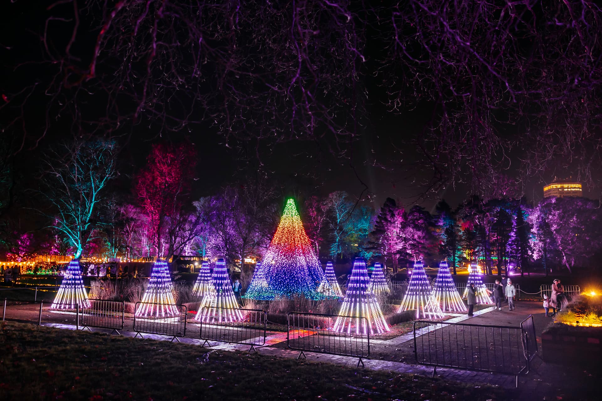 Northern Lights Newcastle