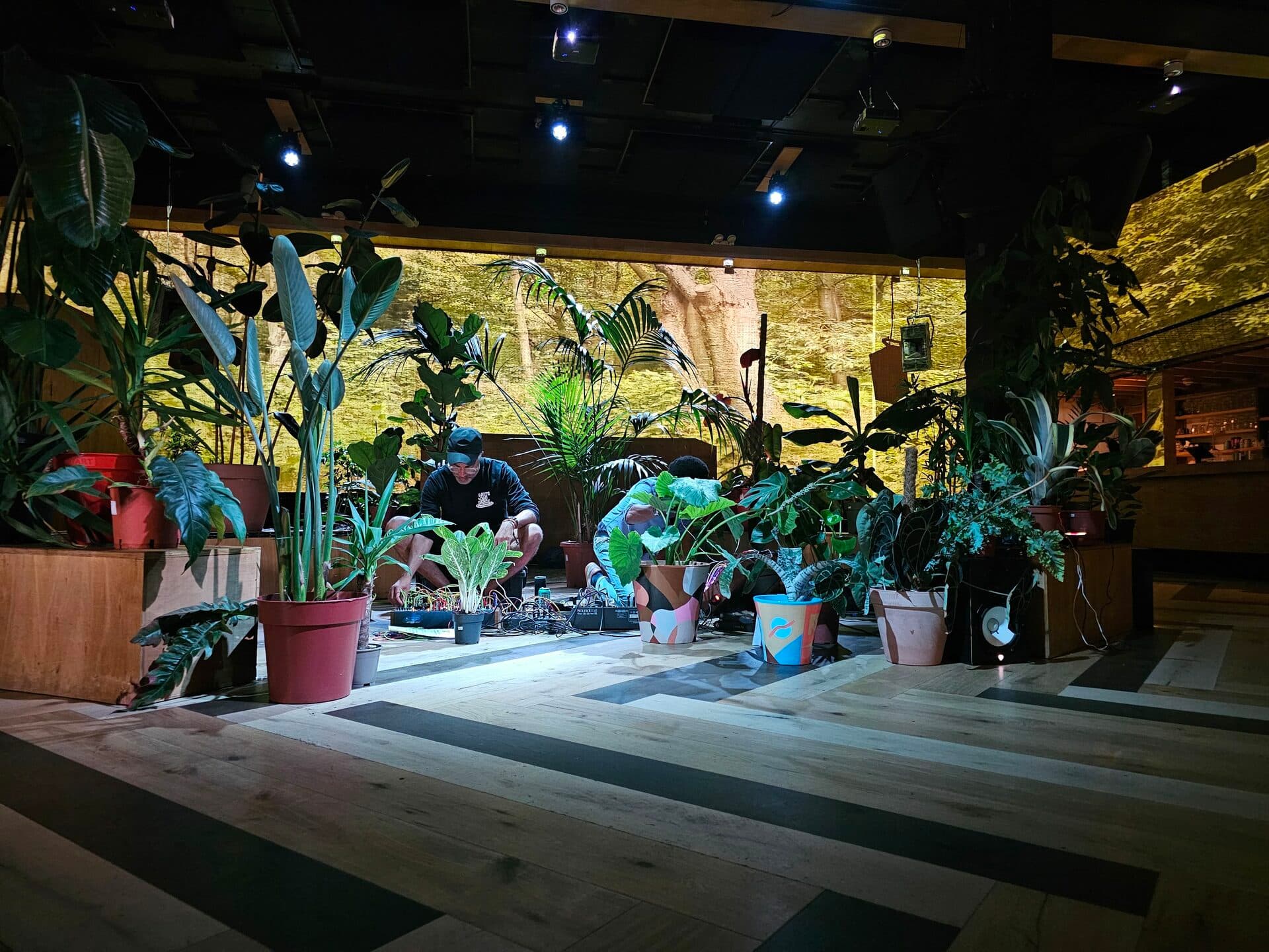 Plants Can Dance