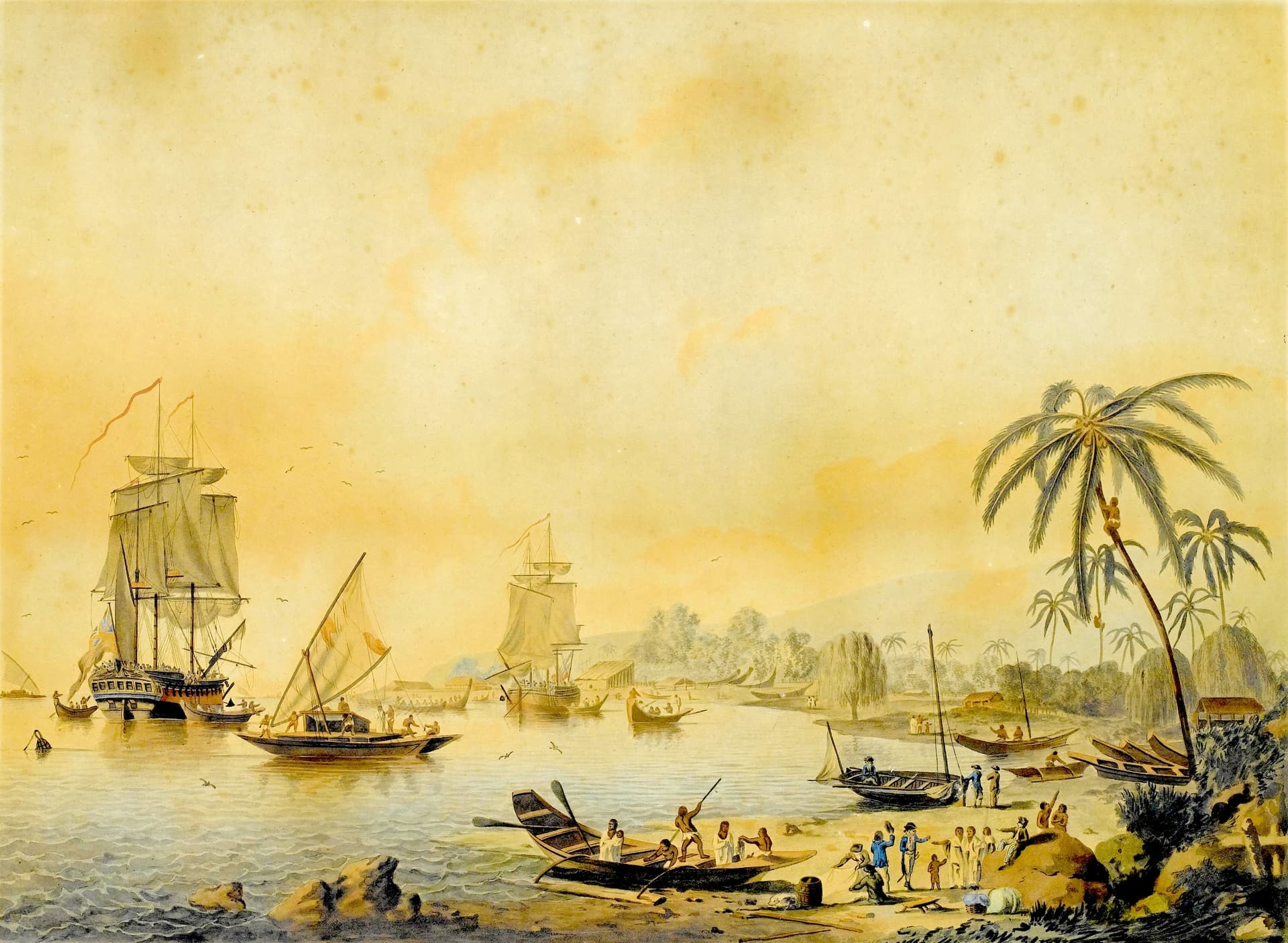 The cult of the Pacific: from Cook to Gaugin