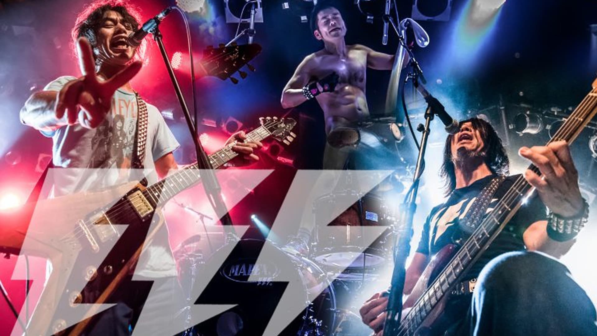 Electric Eel Shock