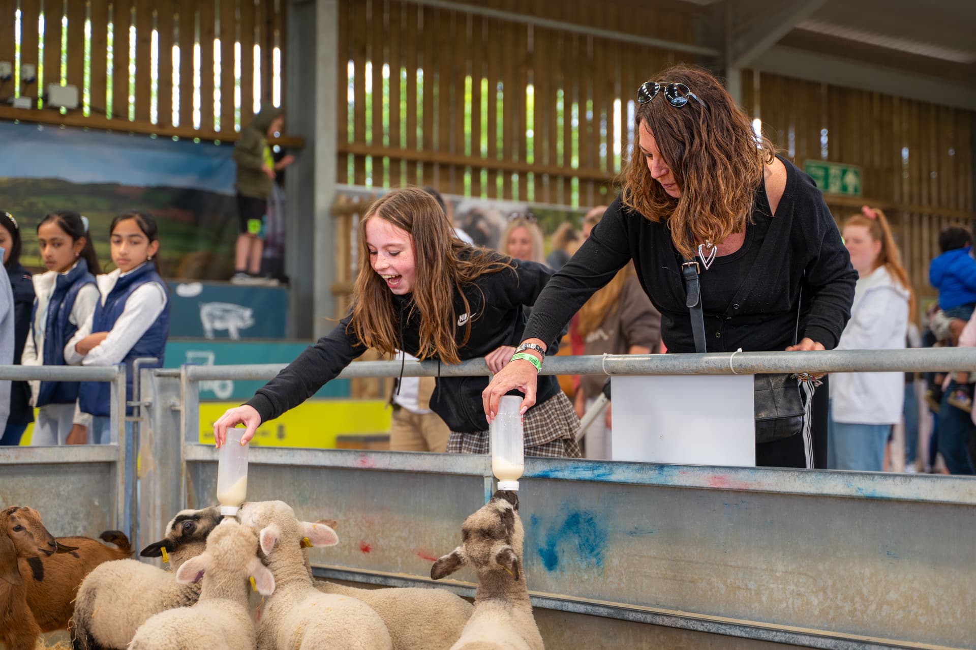 Bee Wild Week at Cotswold Farm Park