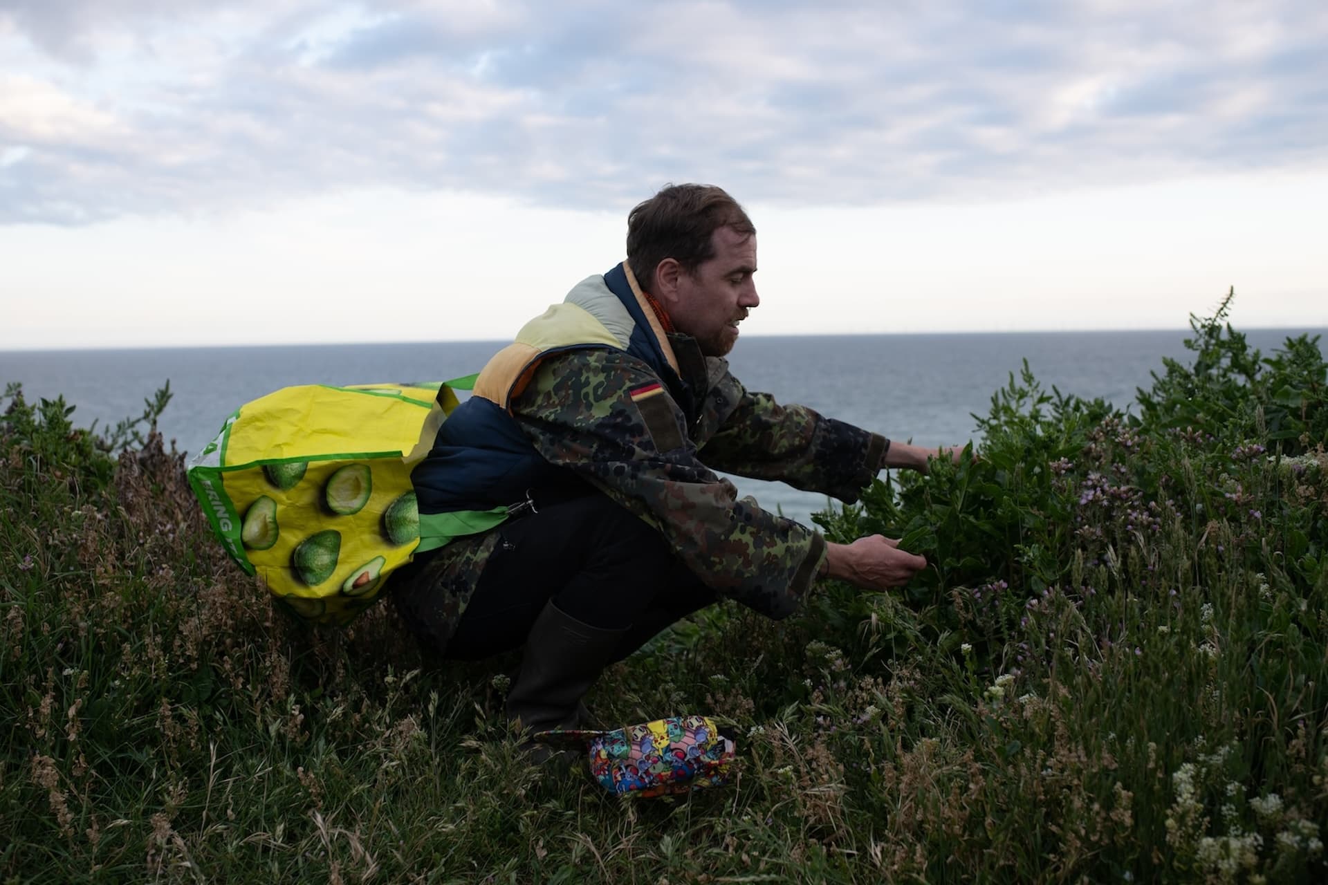 Uncover Brighton’s Coast Through Foraging