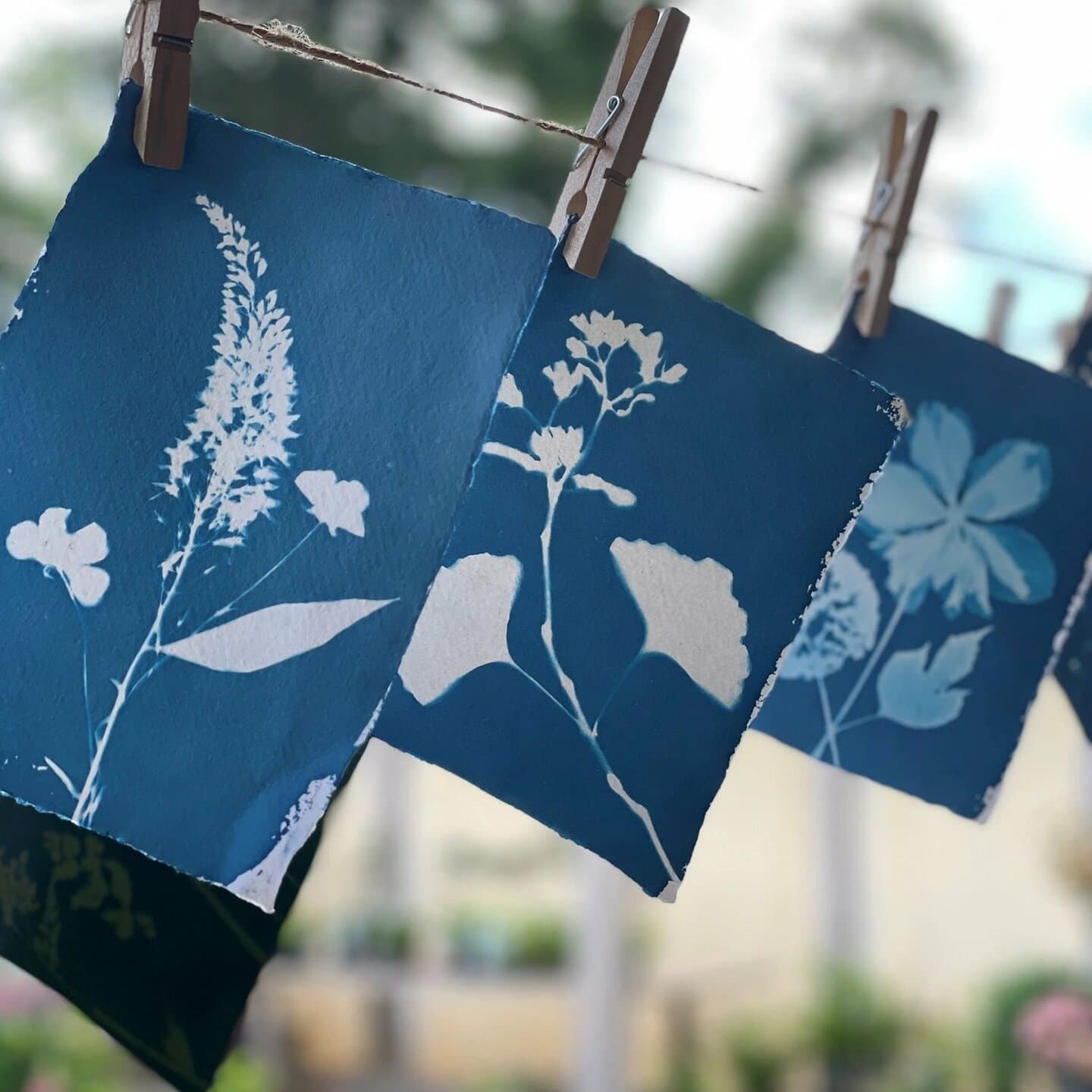 Cyanotype Printmaking