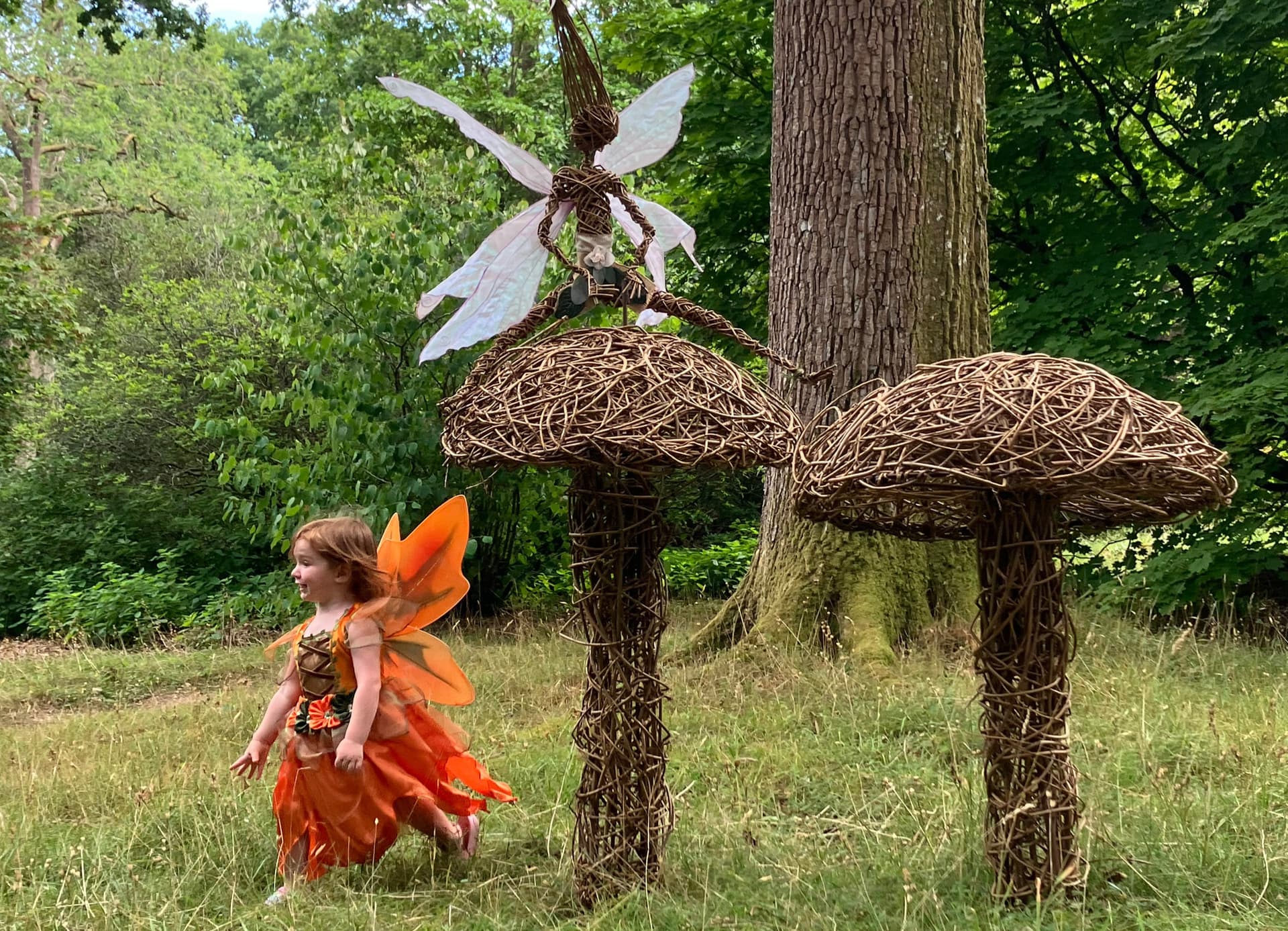 Willow Fairy and Dragon Trail