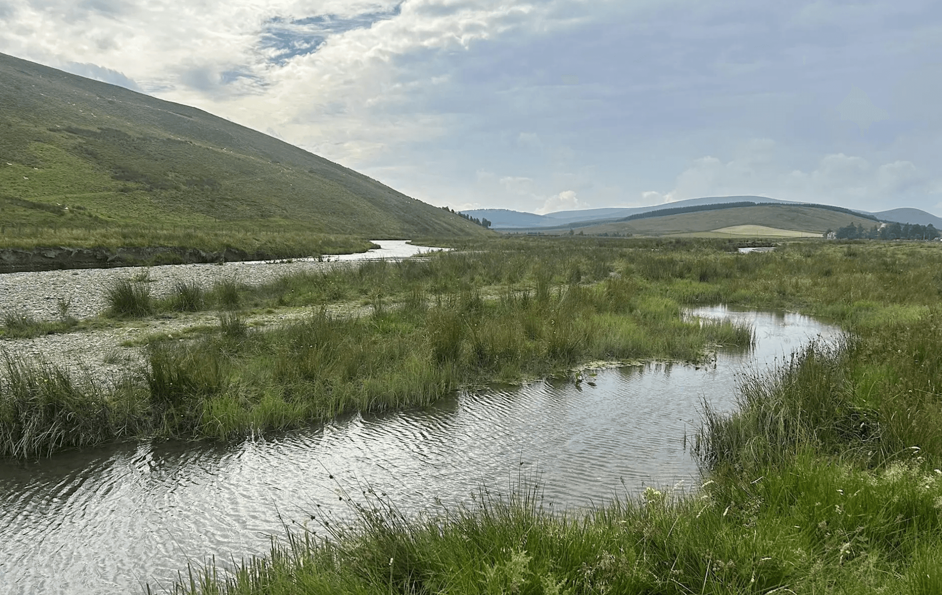 From the Burn to the Bioregion