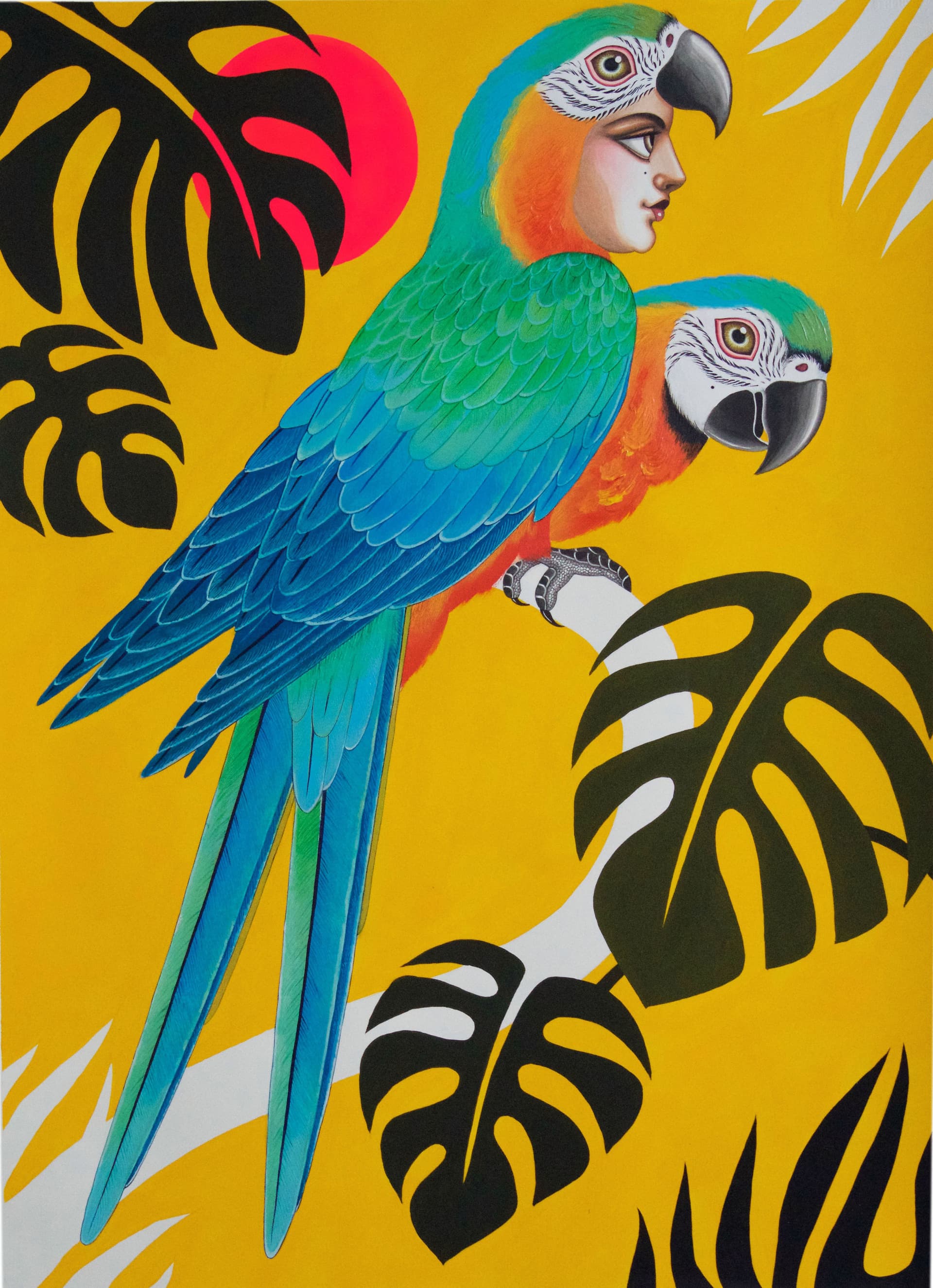 Jungle Harpies and African Vistas