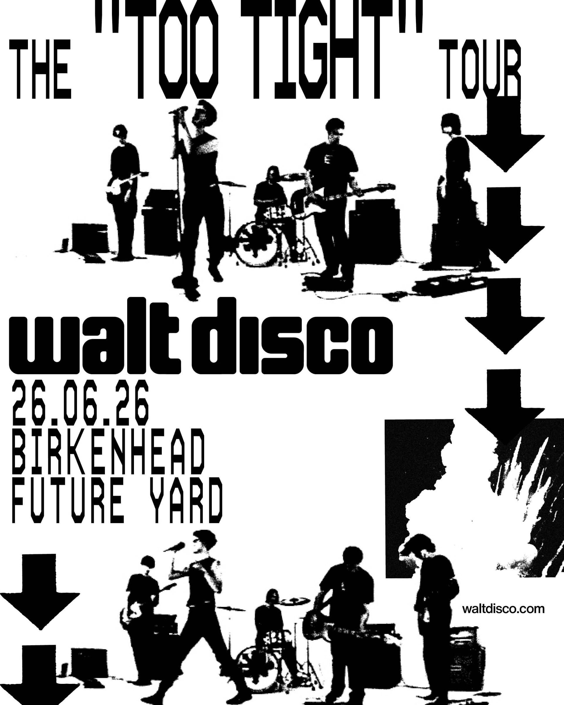 Walt Disco